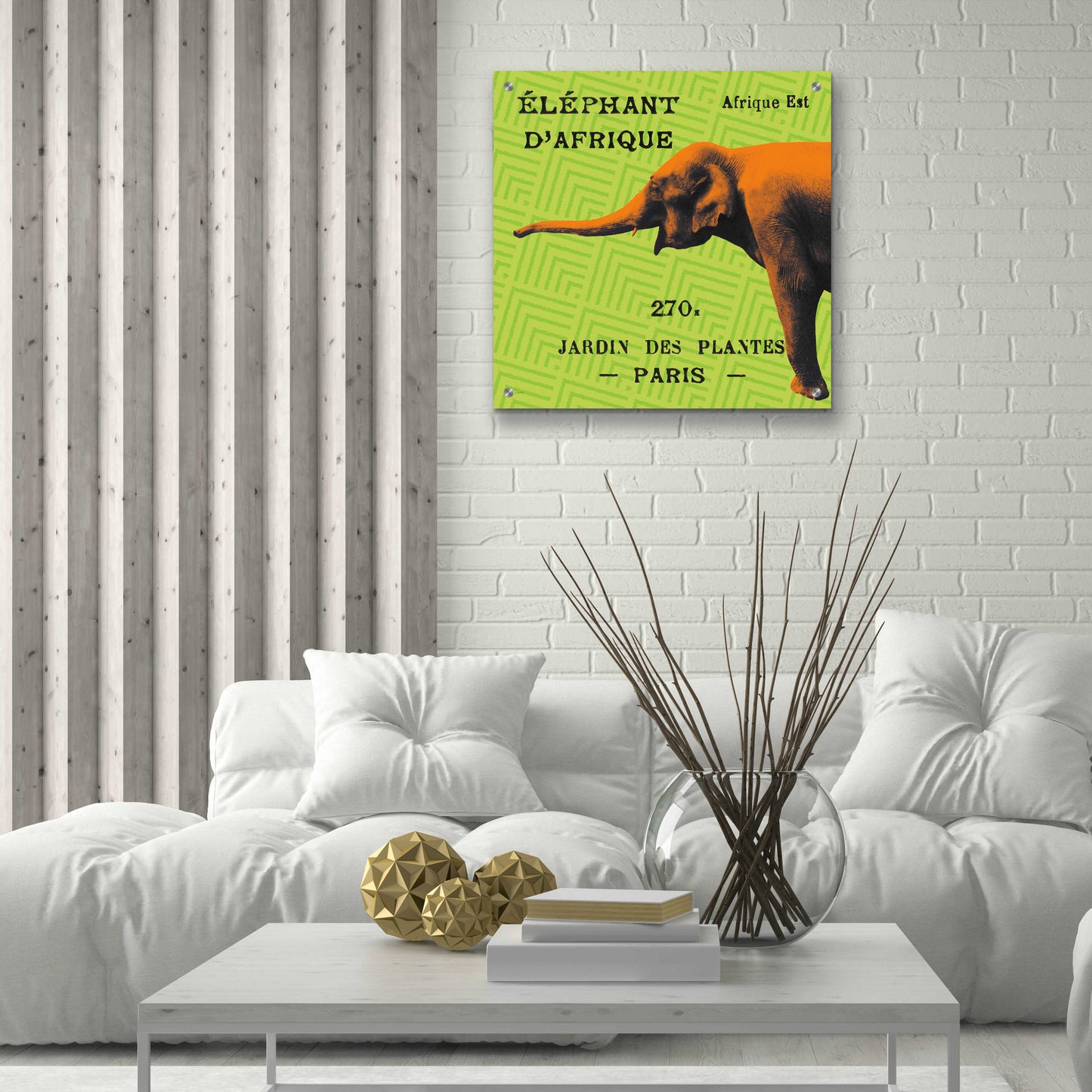 Epic Art 'Bright Safari Elephant' by Sue Schlabach, Acrylic Glass Wall Art,24x24