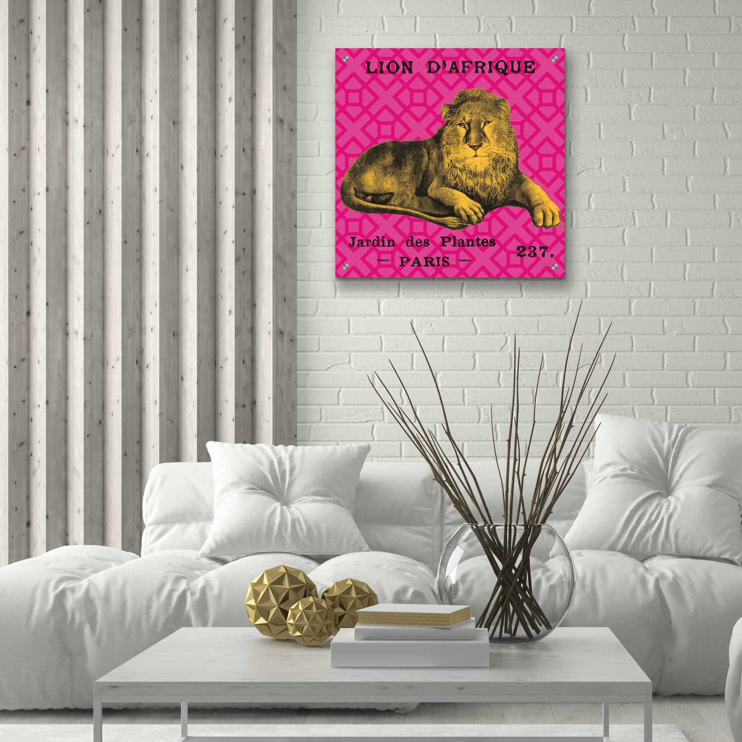 Epic Art 'Bright Safari Lion' by Sue Schlabach, Acrylic Glass Wall Art,24x24