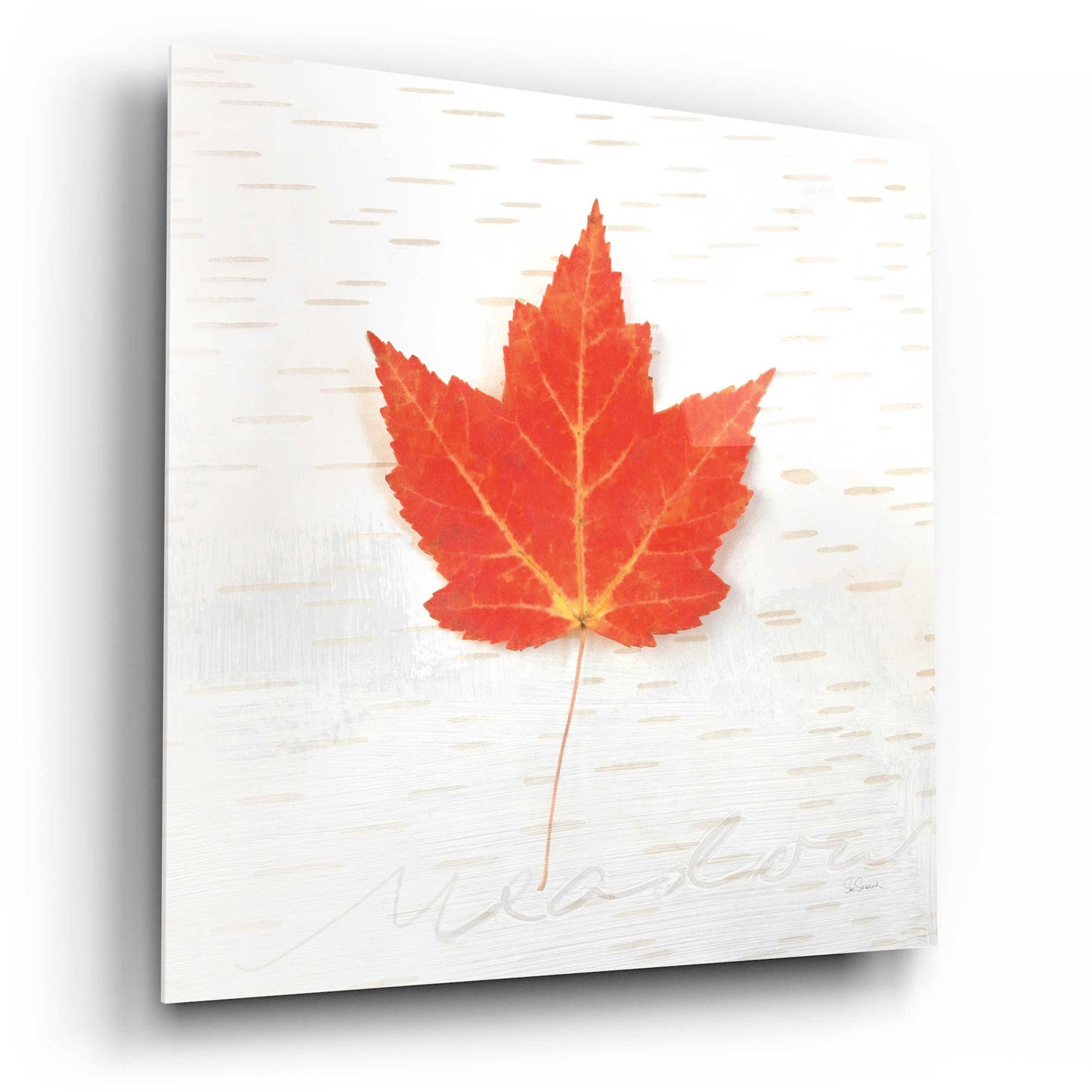 Epic Art 'Autumn Colors I' by Sue Schlabach, Acrylic Glass Wall Art,12x12