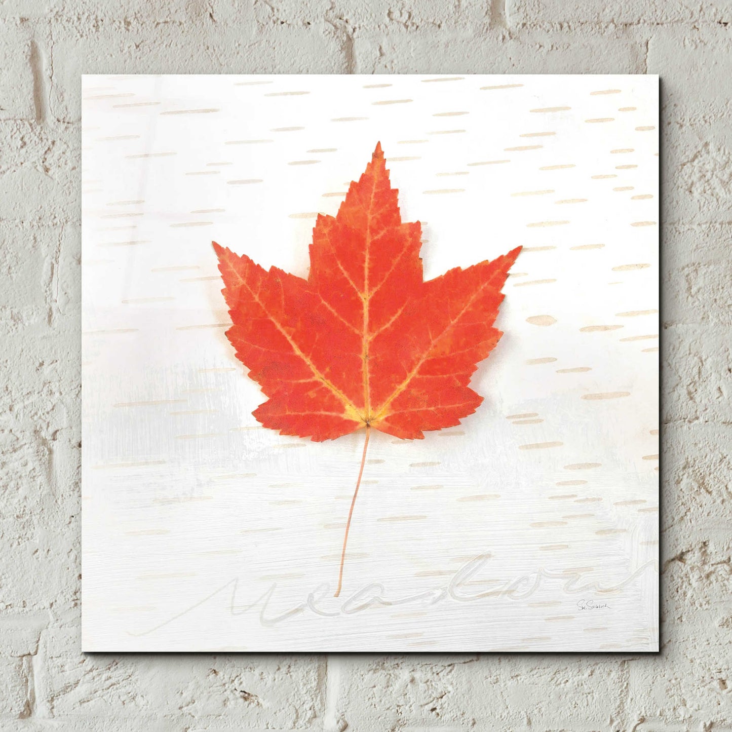 Epic Art 'Autumn Colors I' by Sue Schlabach, Acrylic Glass Wall Art,12x12