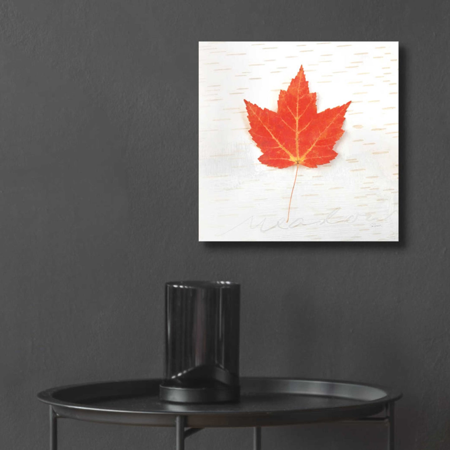 Epic Art 'Autumn Colors I' by Sue Schlabach, Acrylic Glass Wall Art,12x12