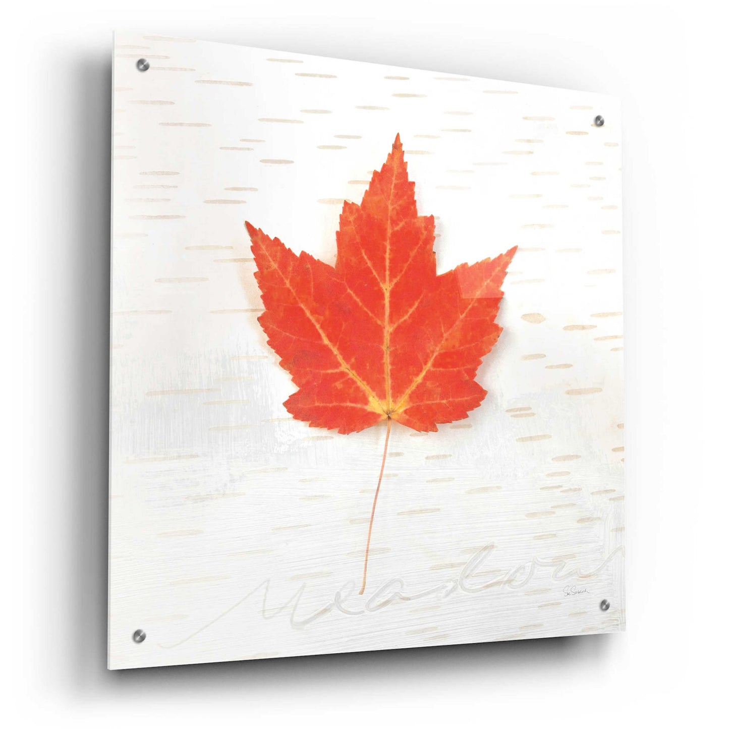 Epic Art 'Autumn Colors I' by Sue Schlabach, Acrylic Glass Wall Art,24x24