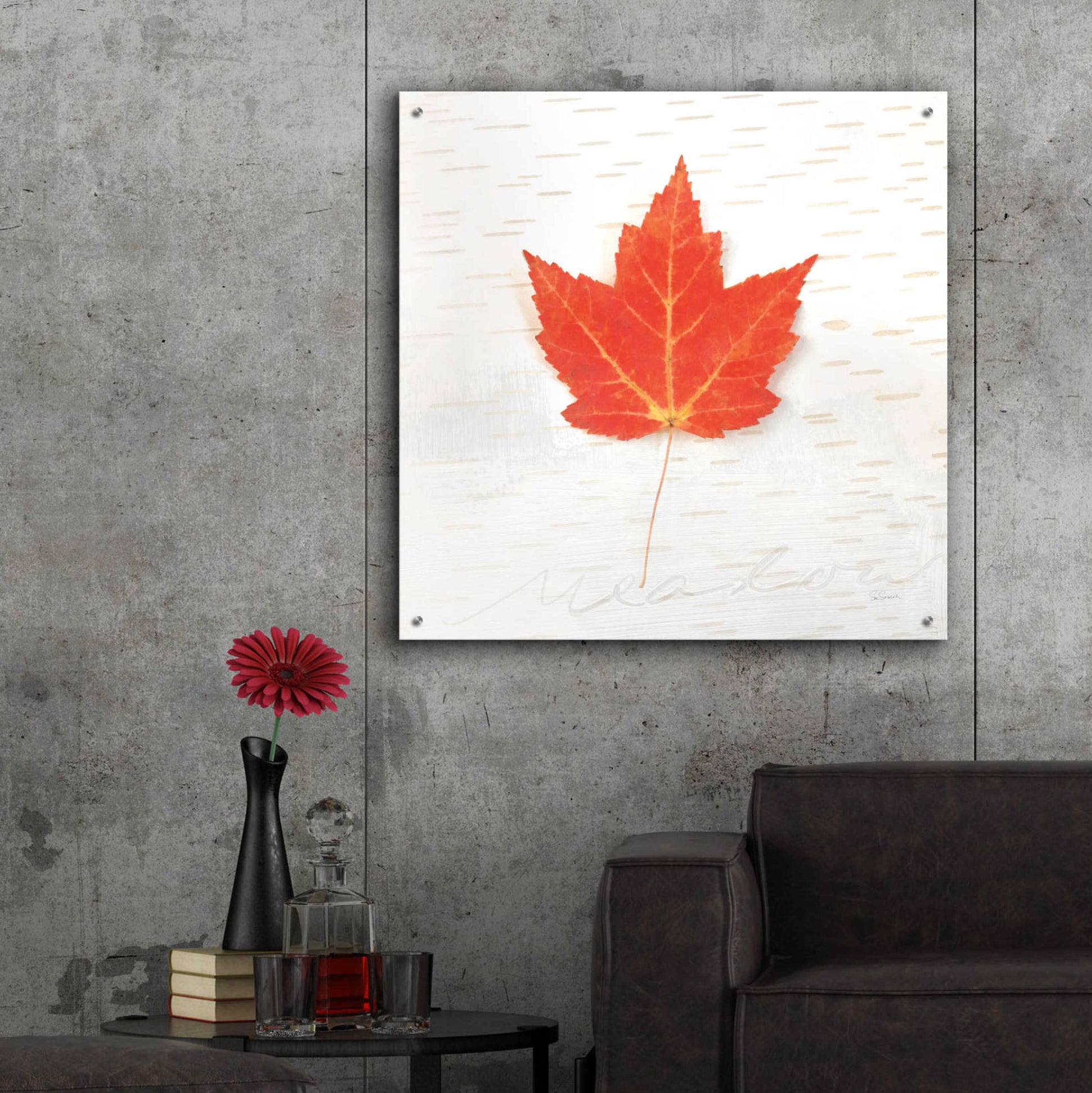 Epic Art 'Autumn Colors I' by Sue Schlabach, Acrylic Glass Wall Art,36x36