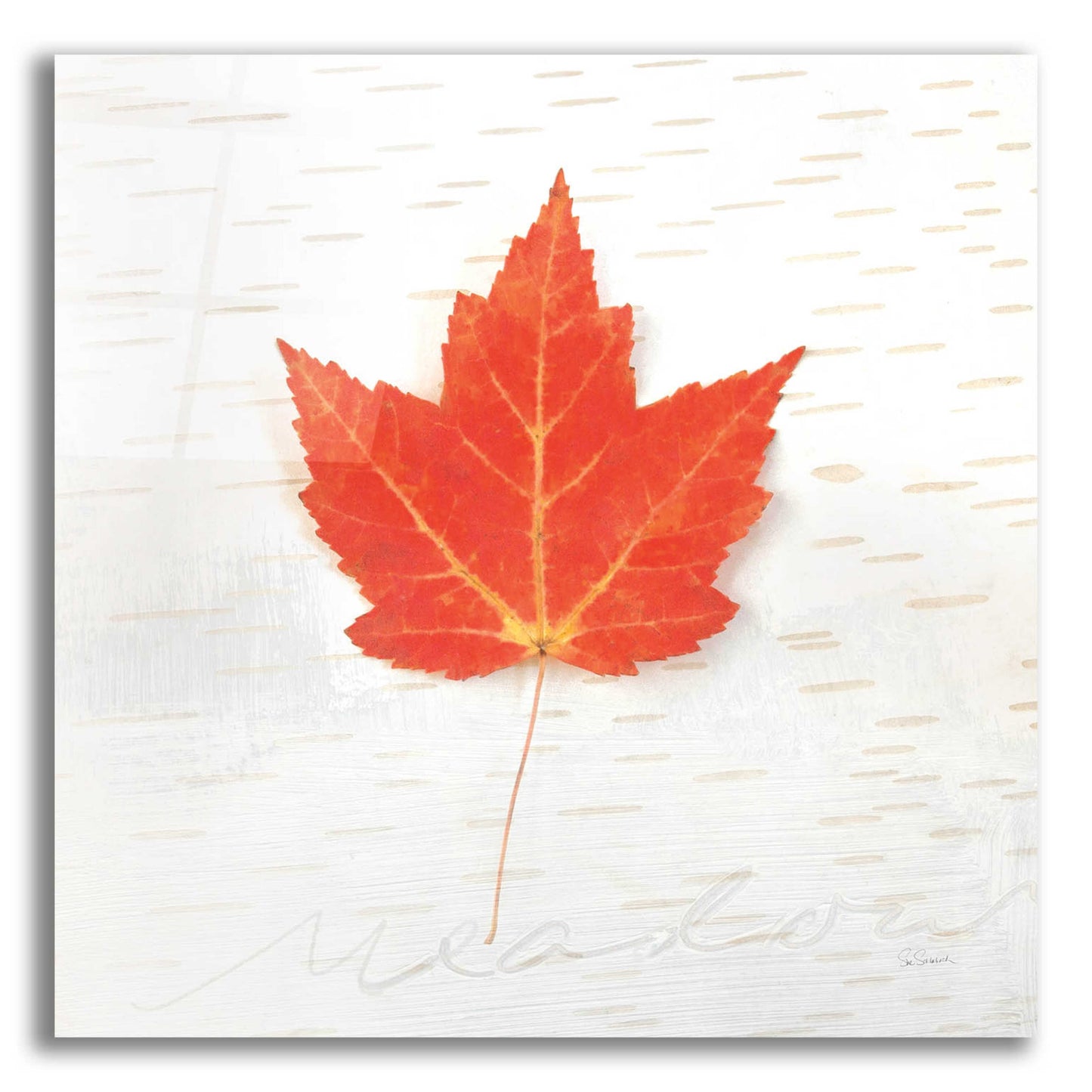 Epic Art 'Autumn Colors I' by Sue Schlabach, Acrylic Glass Wall Art