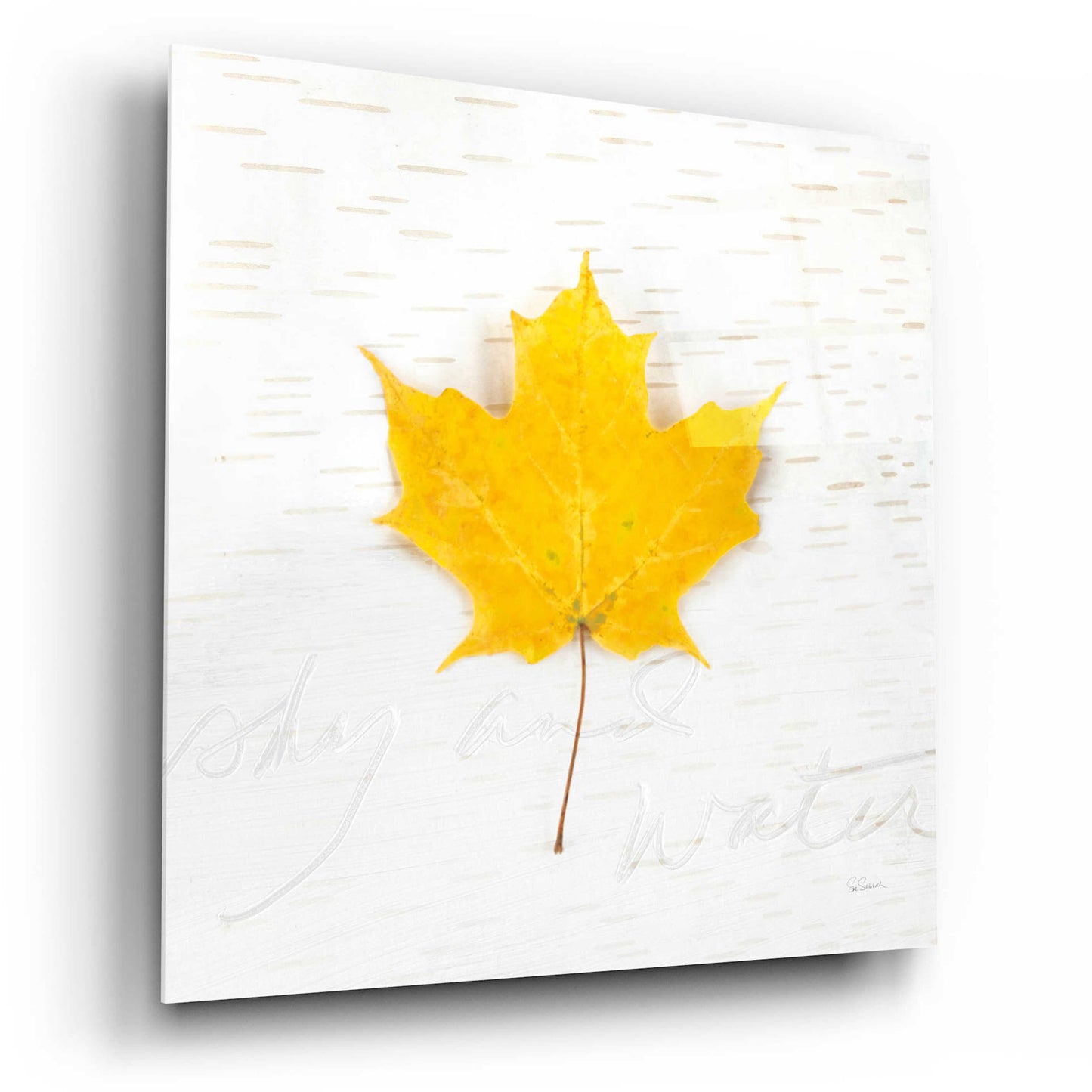 Epic Art 'Autumn Colors II' by Sue Schlabach, Acrylic Glass Wall Art,12x12