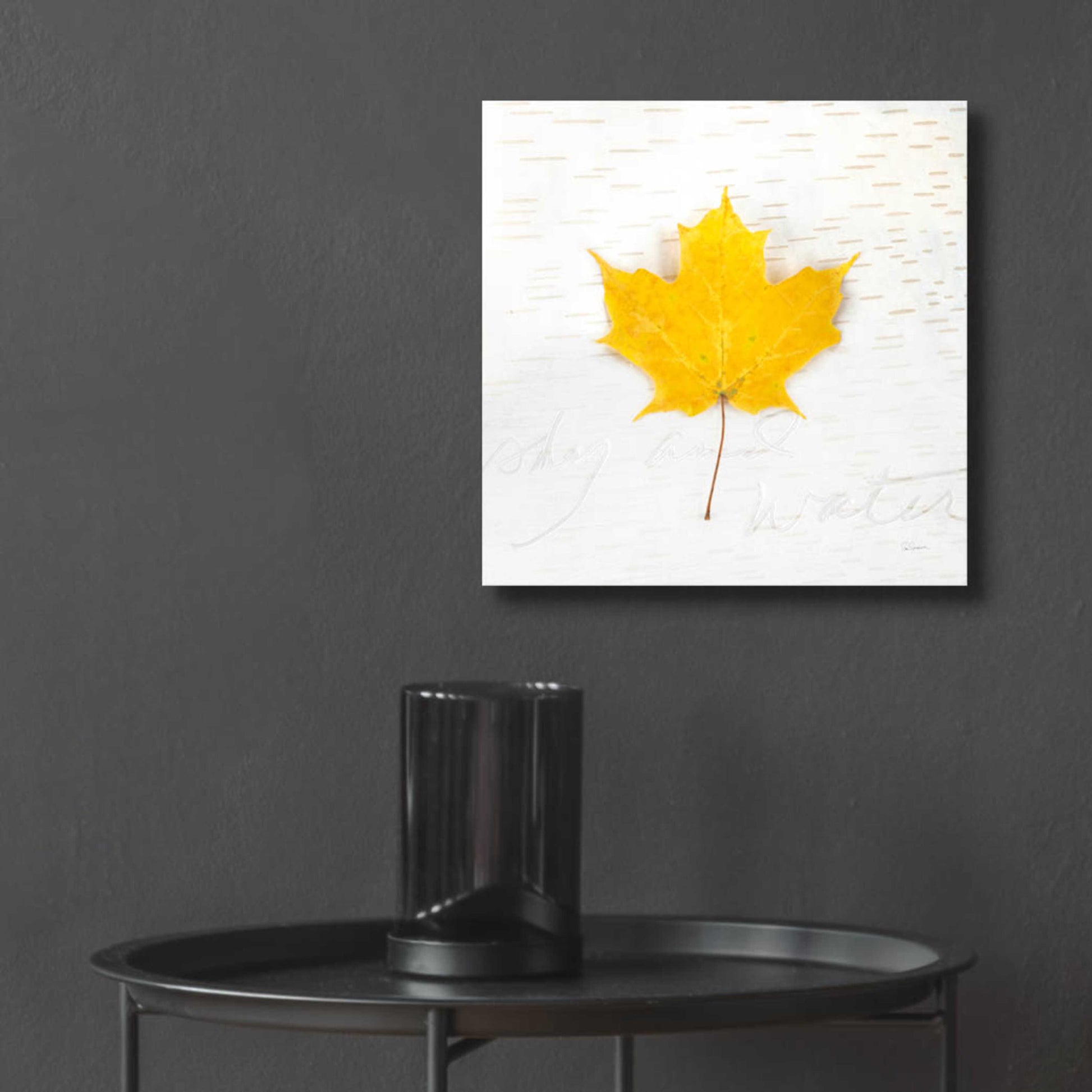 Epic Art 'Autumn Colors II' by Sue Schlabach, Acrylic Glass Wall Art,12x12