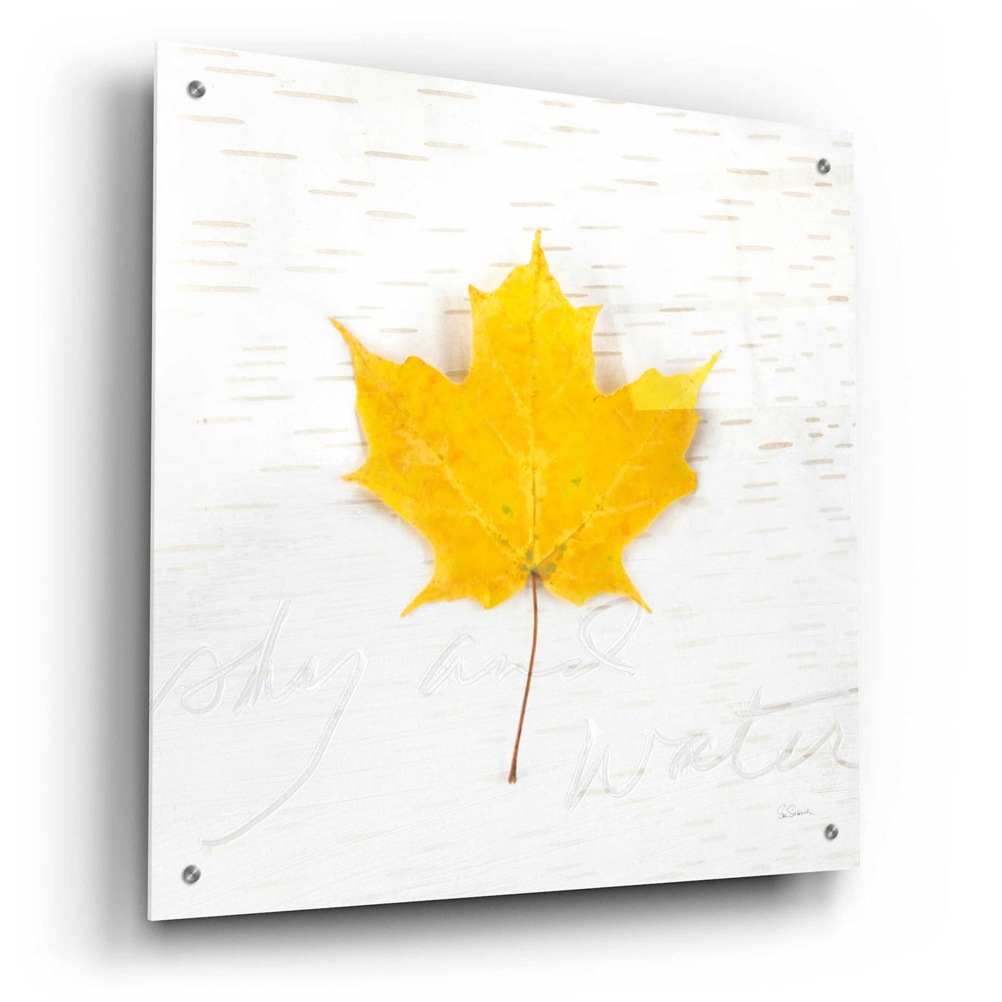 Epic Art 'Autumn Colors II' by Sue Schlabach, Acrylic Glass Wall Art,24x24