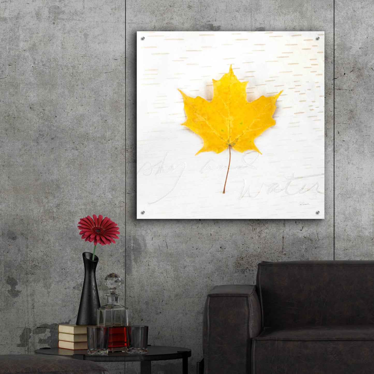 Epic Art 'Autumn Colors II' by Sue Schlabach, Acrylic Glass Wall Art,36x36