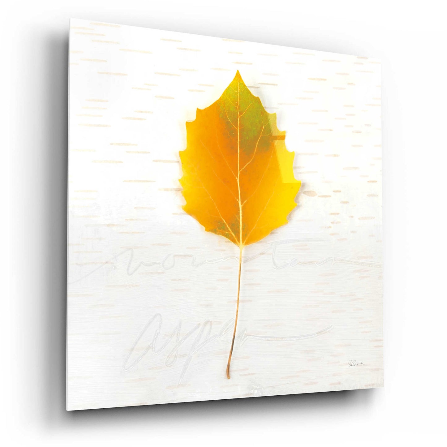 Epic Art 'Autumn Colors III' by Sue Schlabach, Acrylic Glass Wall Art,12x12