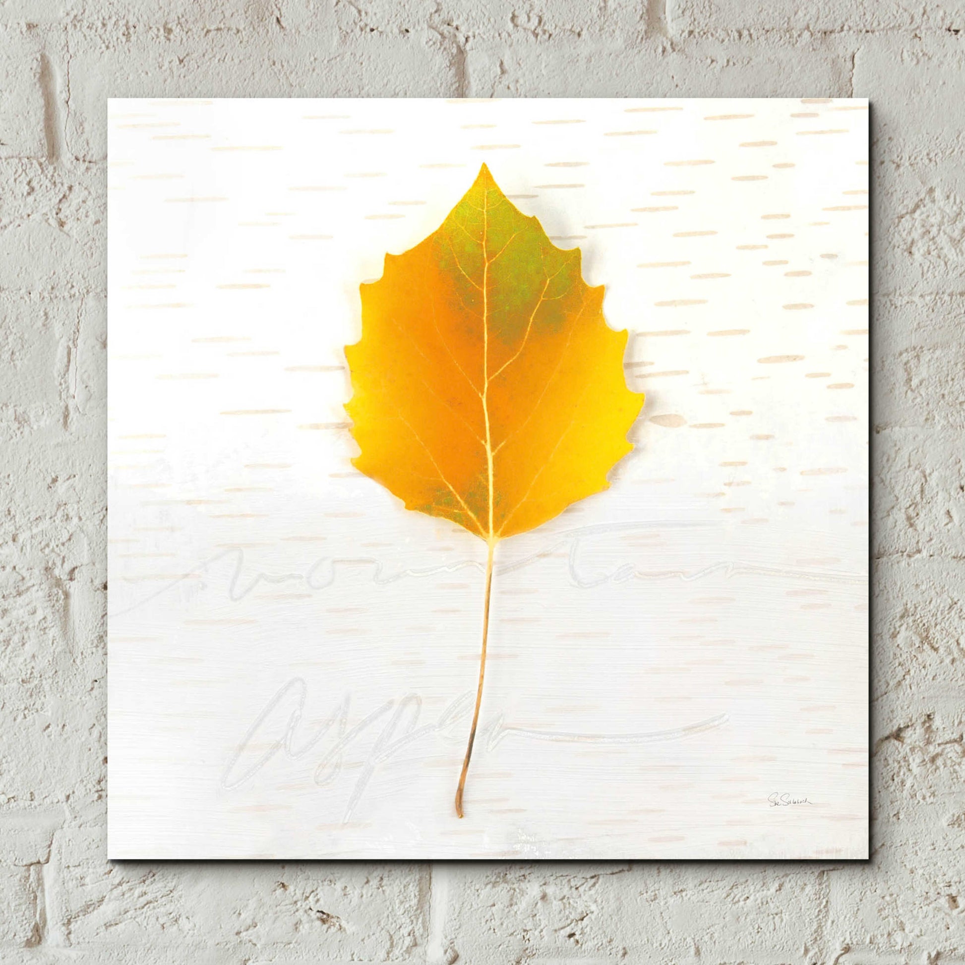 Epic Art 'Autumn Colors III' by Sue Schlabach, Acrylic Glass Wall Art,12x12