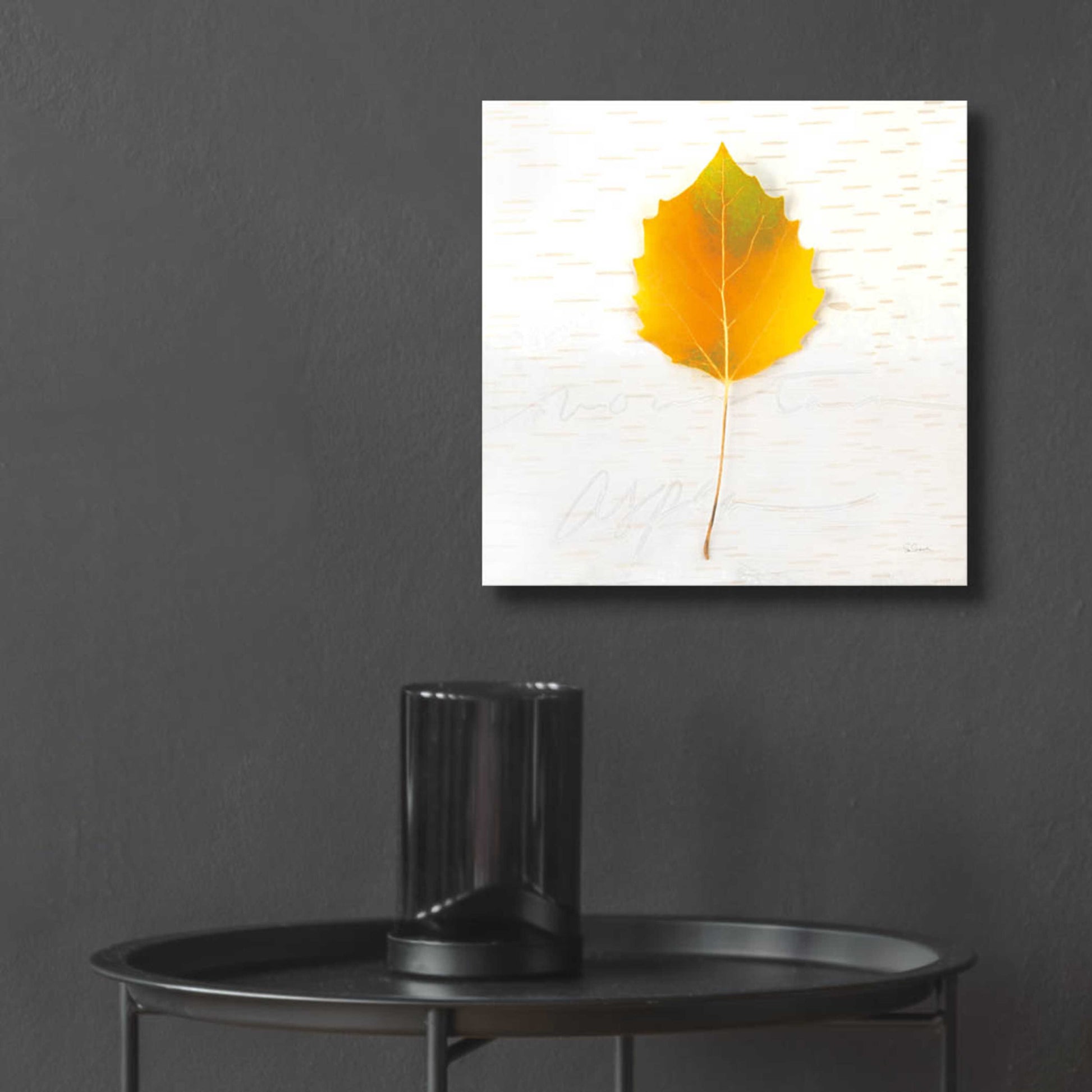 Epic Art 'Autumn Colors III' by Sue Schlabach, Acrylic Glass Wall Art,12x12