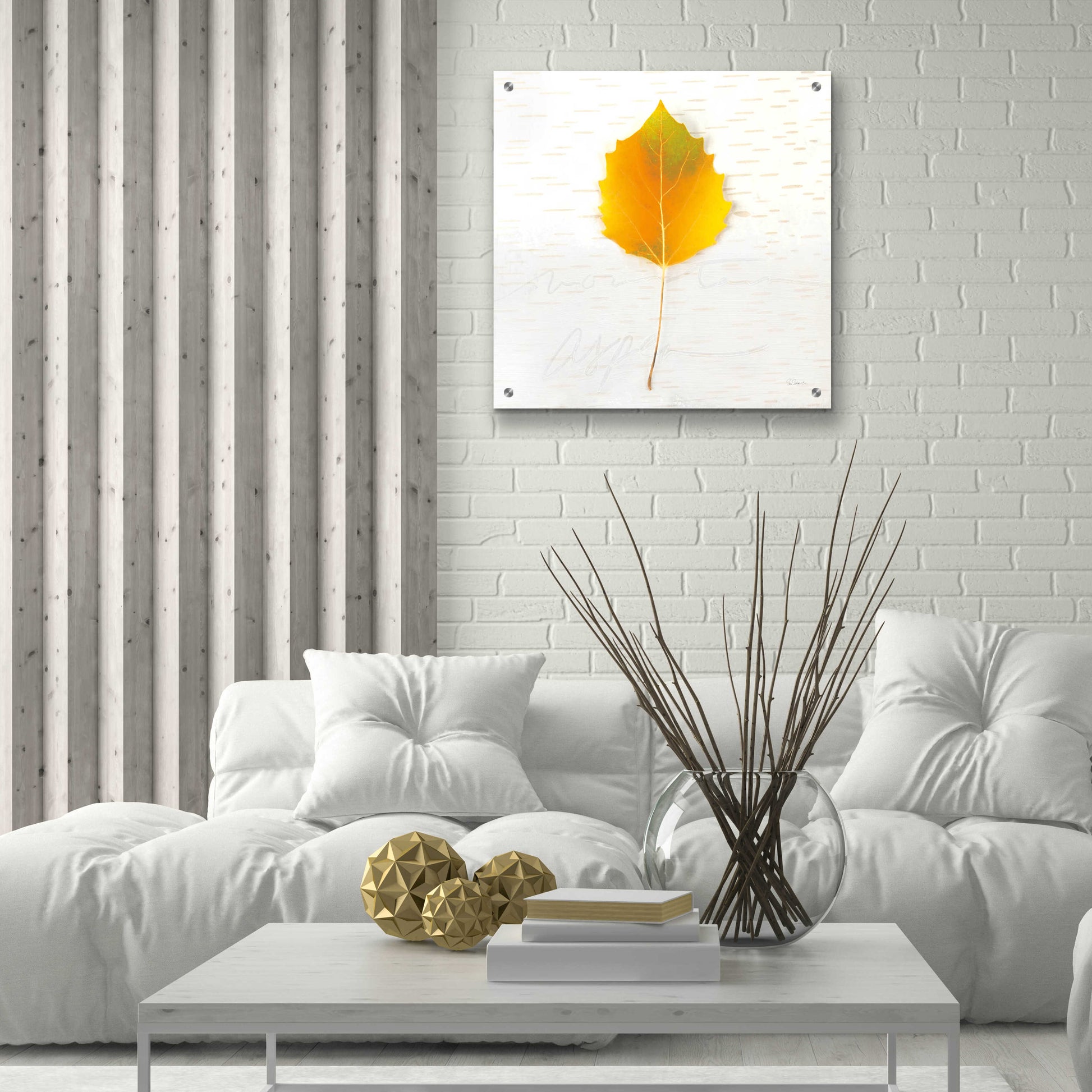 Epic Art 'Autumn Colors III' by Sue Schlabach, Acrylic Glass Wall Art,24x24