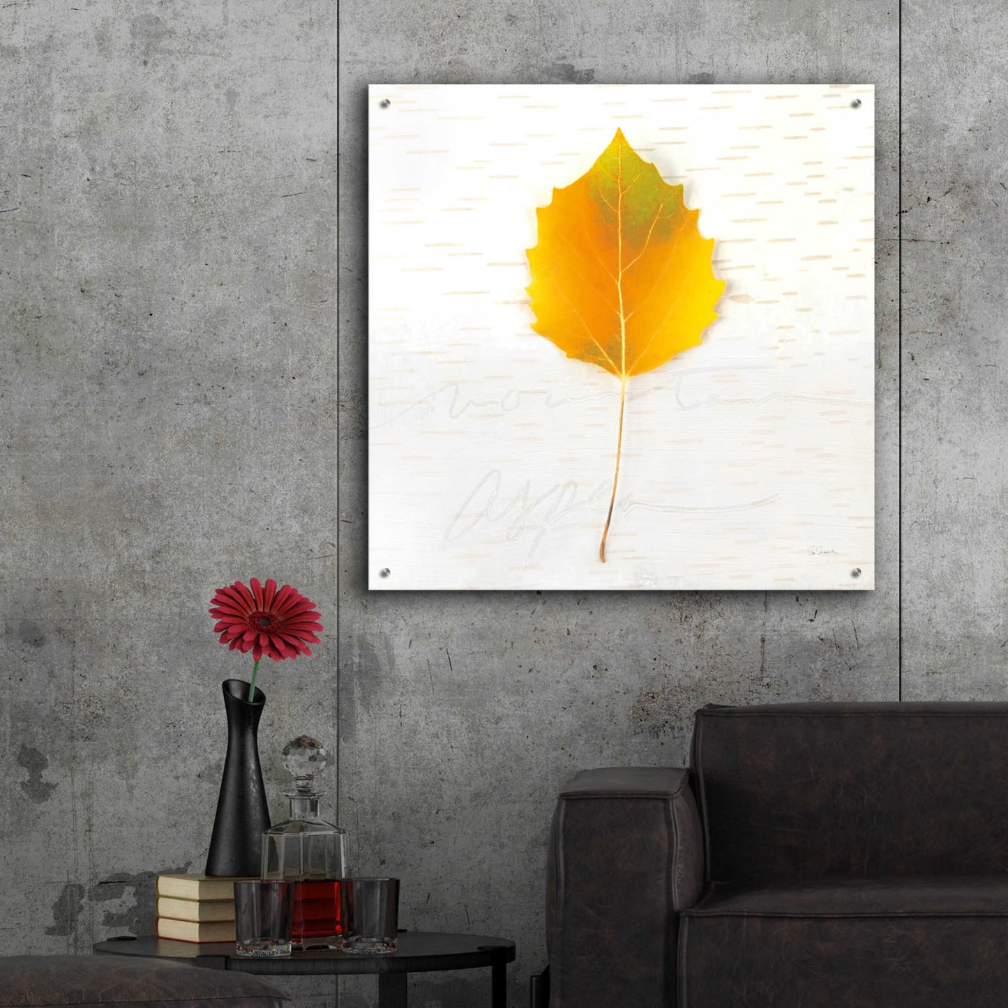 Epic Art 'Autumn Colors III' by Sue Schlabach, Acrylic Glass Wall Art,36x36