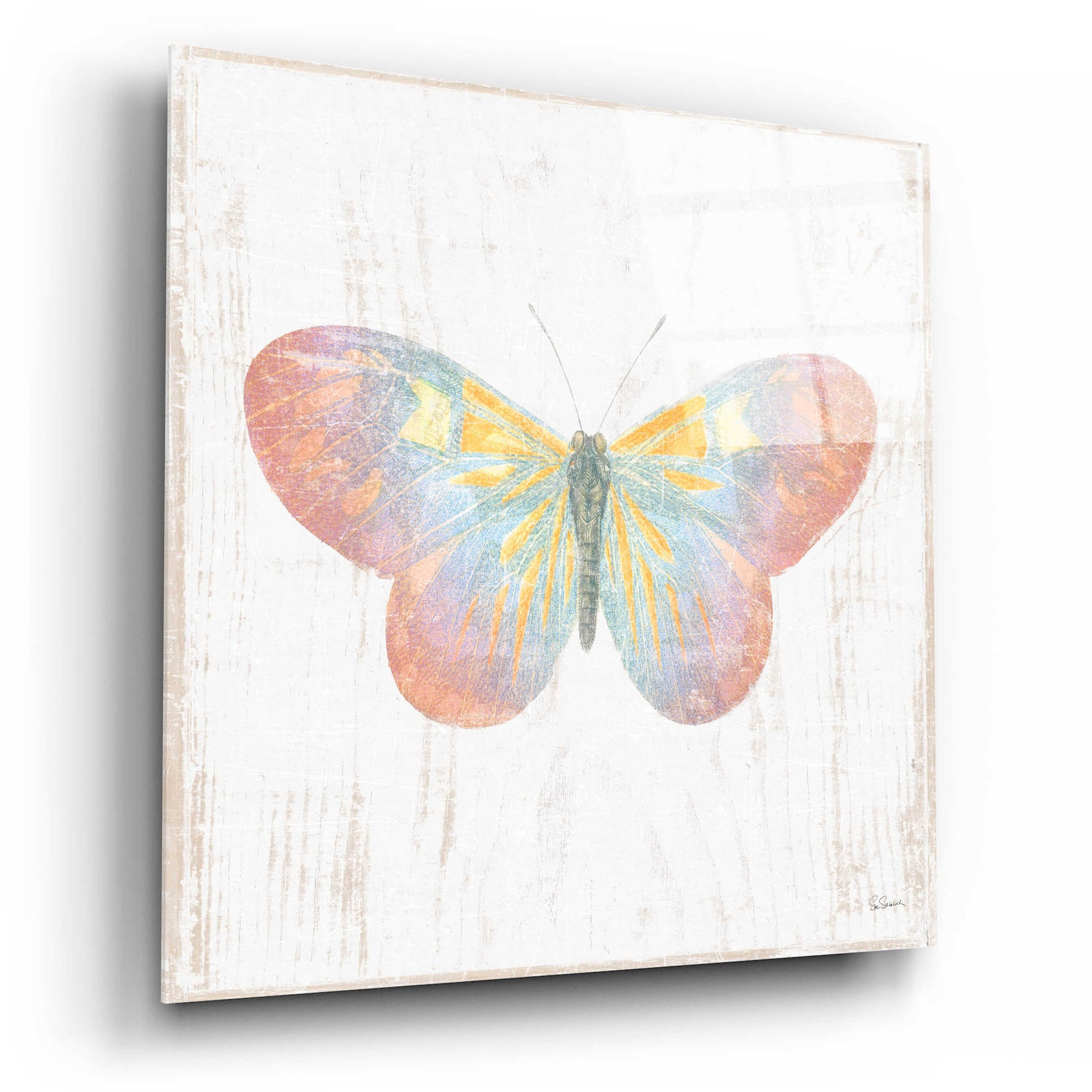 Epic Art 'White Barn Butterflies I' by Sue Schlabach, Acrylic Glass Wall Art,12x12