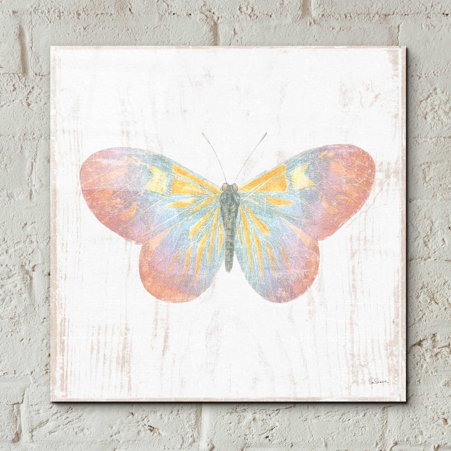 Epic Art 'White Barn Butterflies I' by Sue Schlabach, Acrylic Glass Wall Art,12x12