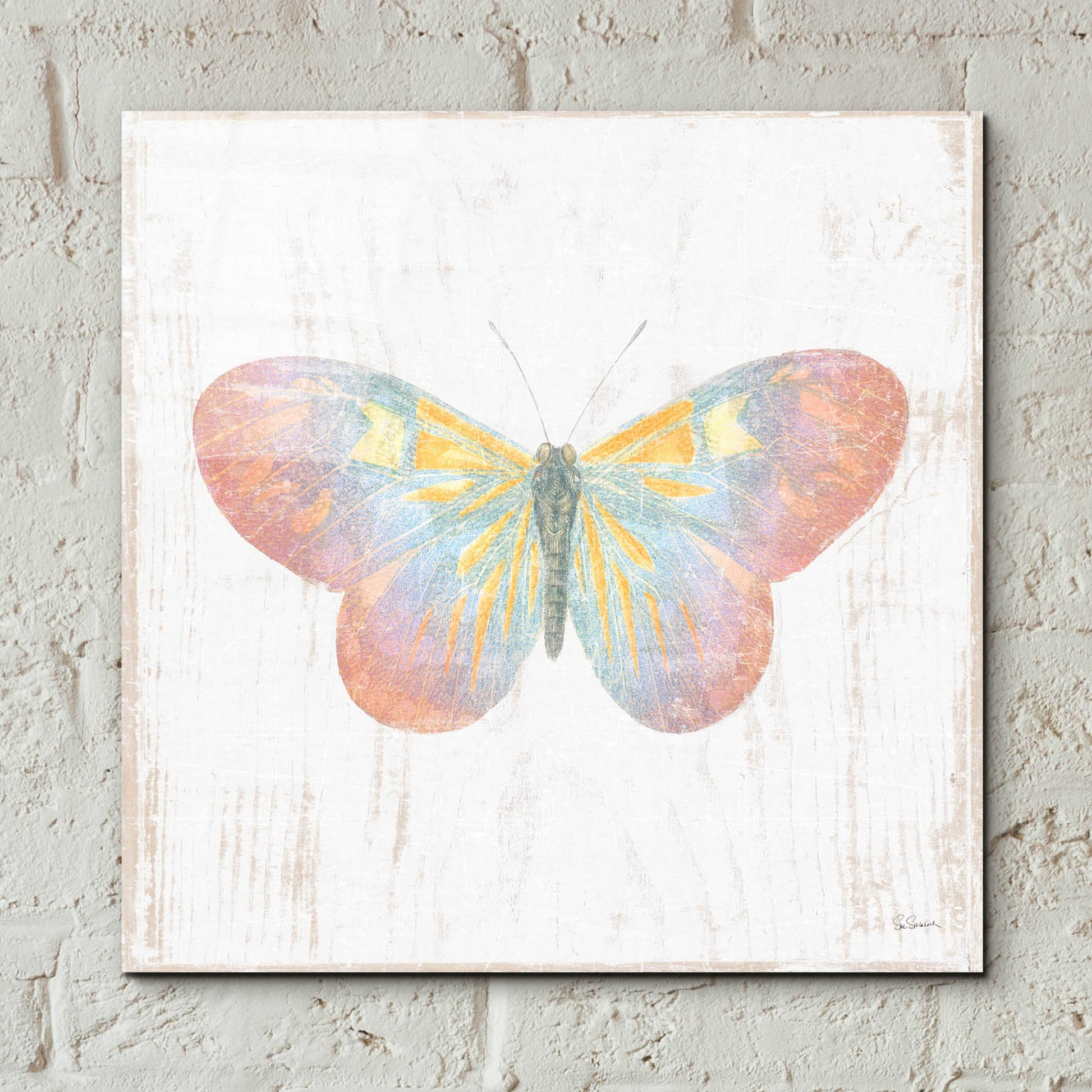 Epic Art 'White Barn Butterflies I' by Sue Schlabach, Acrylic Glass Wall Art,12x12