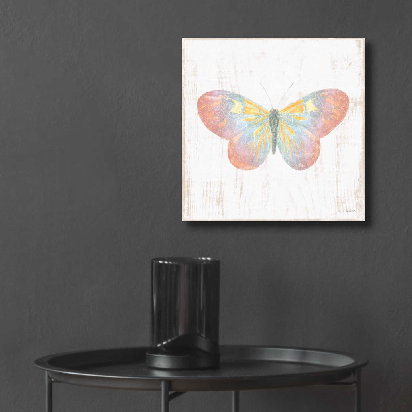 Epic Art 'White Barn Butterflies I' by Sue Schlabach, Acrylic Glass Wall Art,12x12