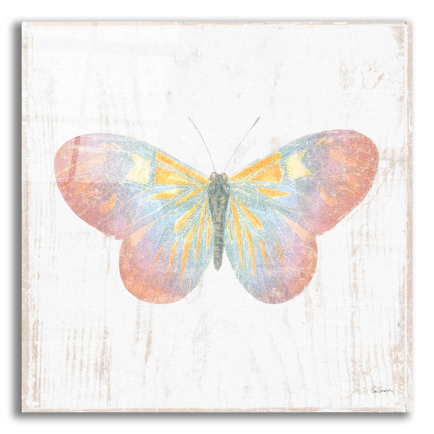 Epic Art 'White Barn Butterflies I' by Sue Schlabach, Acrylic Glass Wall Art,12x12