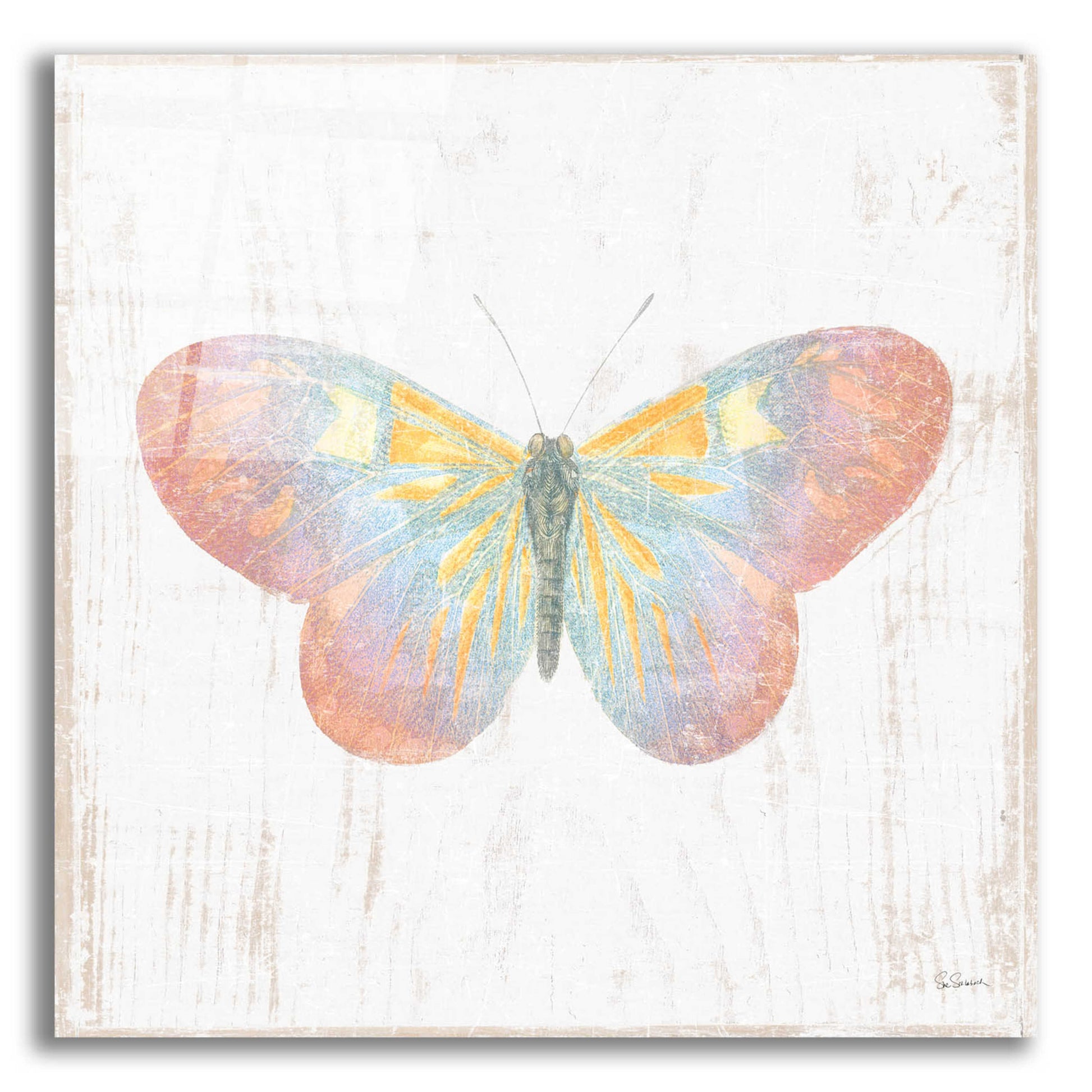 Epic Art 'White Barn Butterflies I' by Sue Schlabach, Acrylic Glass Wall Art,12x12