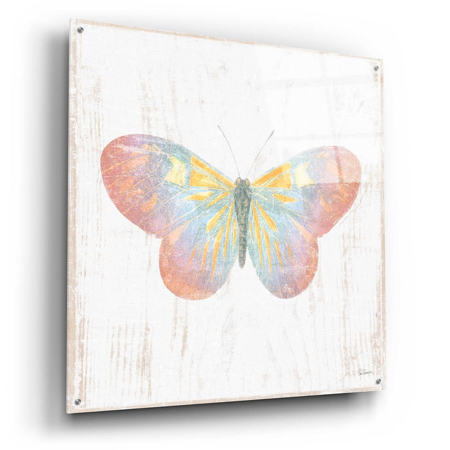 Epic Art 'White Barn Butterflies I' by Sue Schlabach, Acrylic Glass Wall Art,36x36