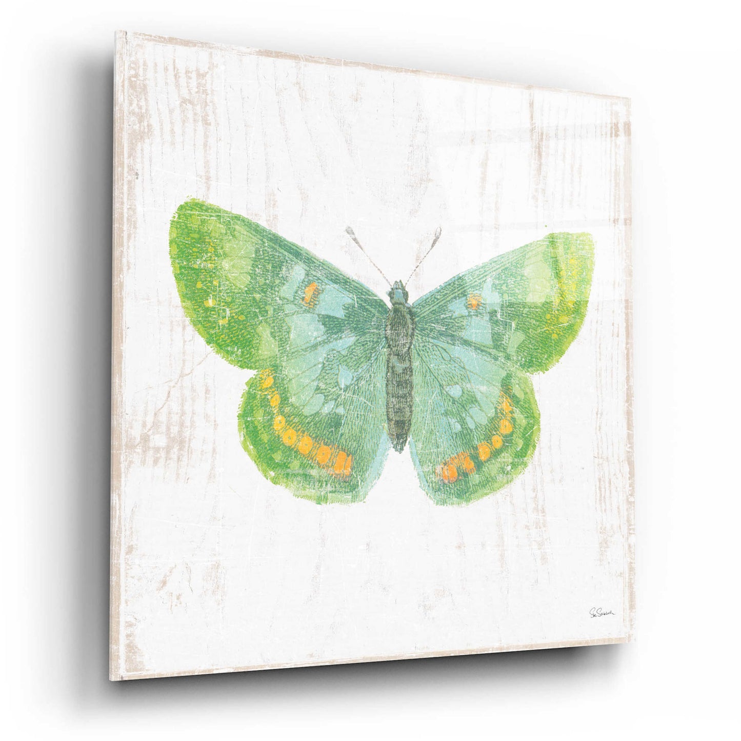 Epic Art 'White Barn Butterflies II' by Sue Schlabach, Acrylic Glass Wall Art,12x12