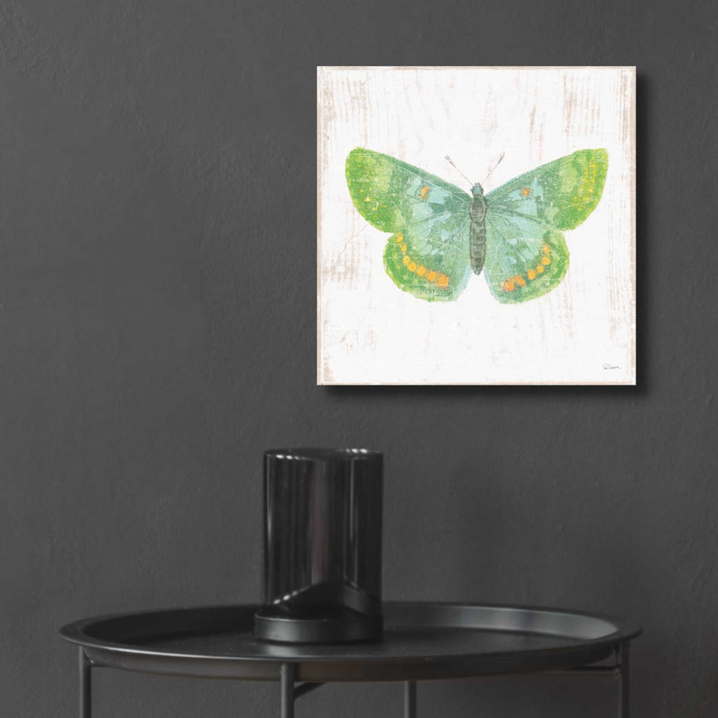 Epic Art 'White Barn Butterflies II' by Sue Schlabach, Acrylic Glass Wall Art,12x12