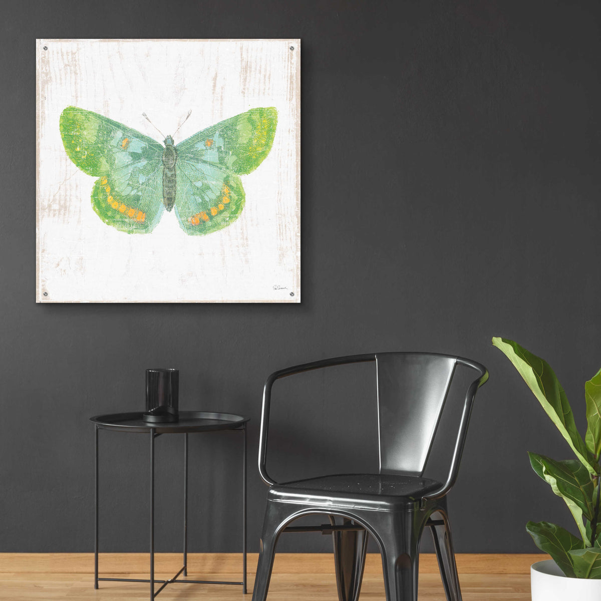 Epic Art 'White Barn Butterflies II' by Sue Schlabach, Acrylic Glass Wall Art,36x36