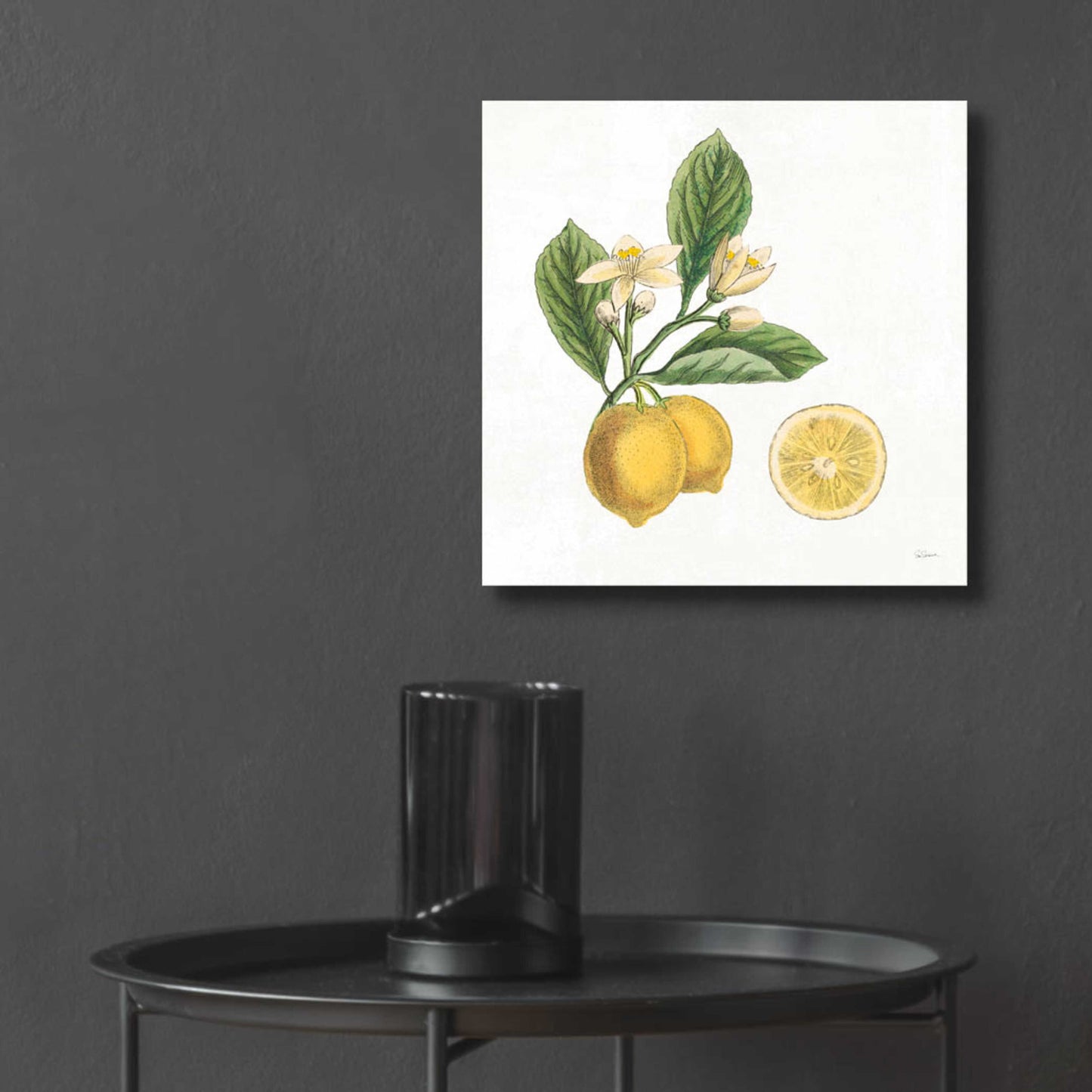 Epic Art 'Classic Citrus I' by Sue Schlabach, Acrylic Glass Wall Art,12x12