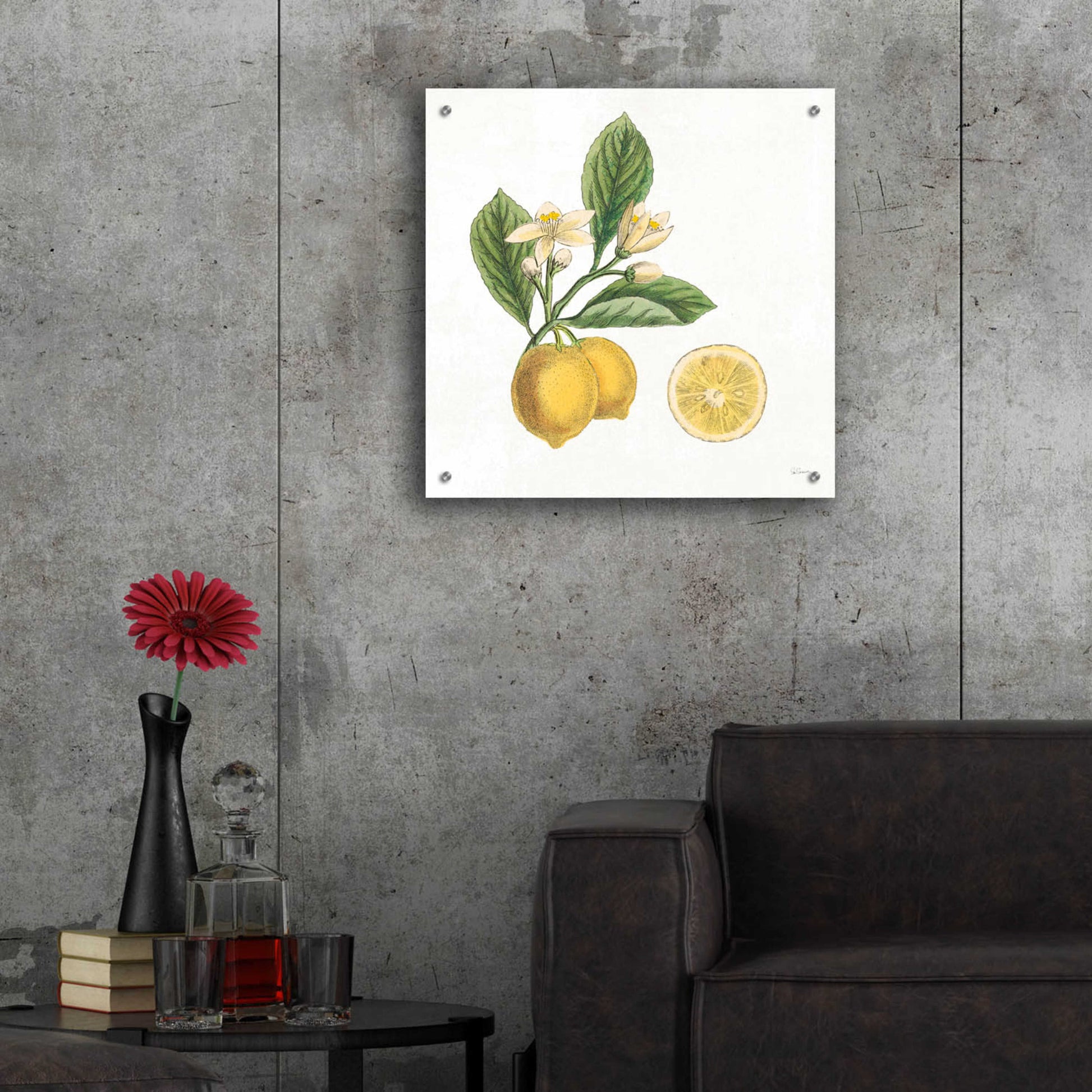 Epic Art 'Classic Citrus I' by Sue Schlabach, Acrylic Glass Wall Art,24x24