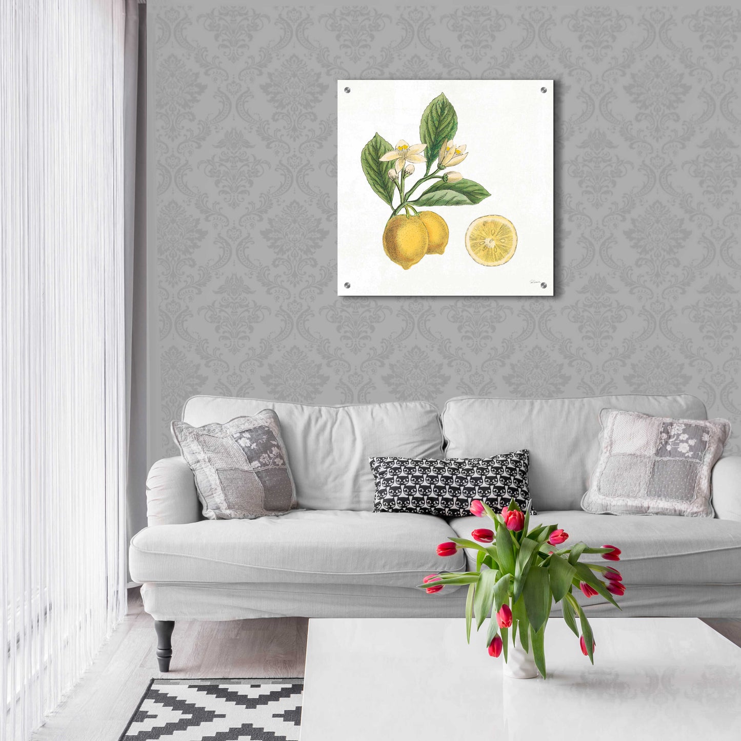 Epic Art 'Classic Citrus I' by Sue Schlabach, Acrylic Glass Wall Art,24x24