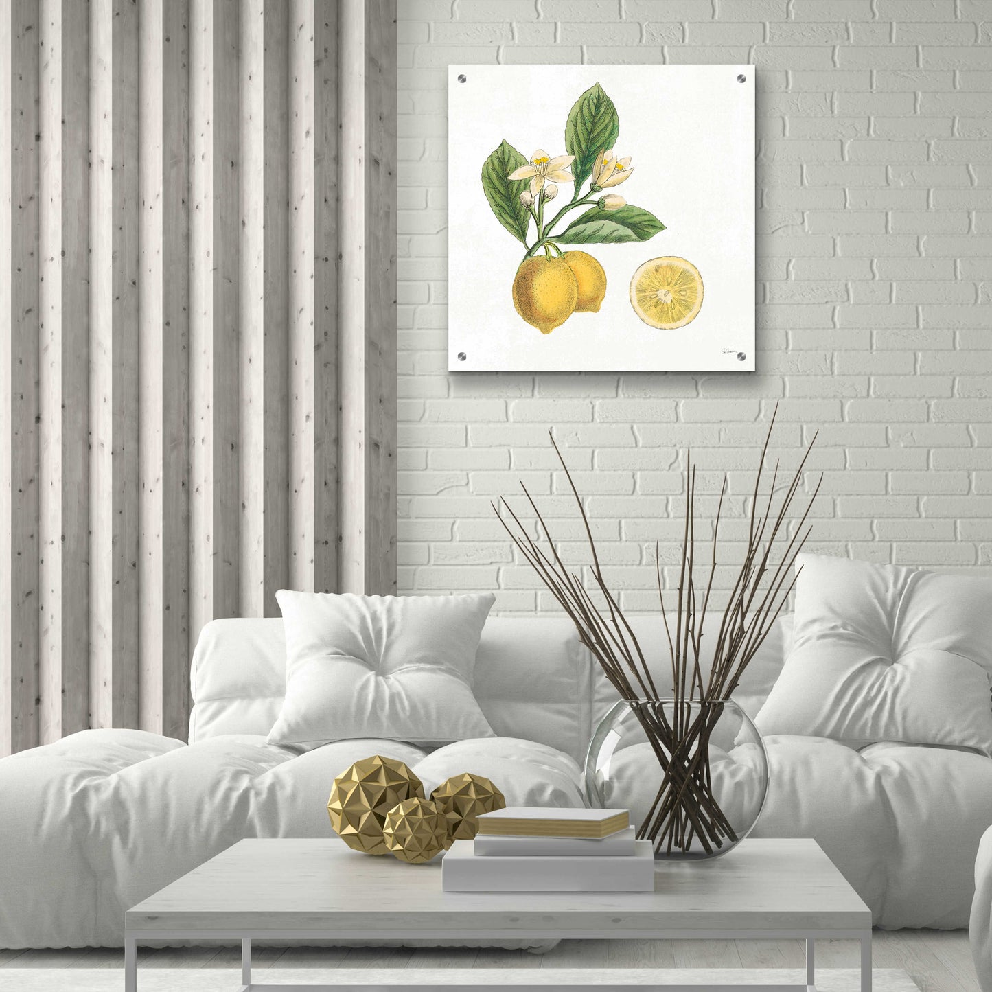 Epic Art 'Classic Citrus I' by Sue Schlabach, Acrylic Glass Wall Art,24x24