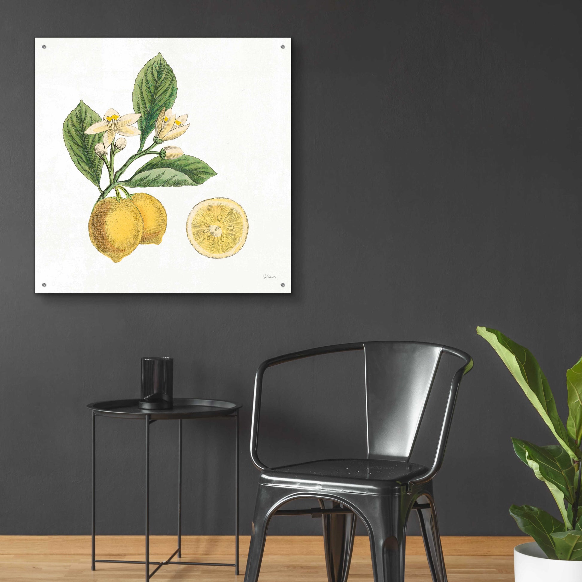 Epic Art 'Classic Citrus I' by Sue Schlabach, Acrylic Glass Wall Art,36x36