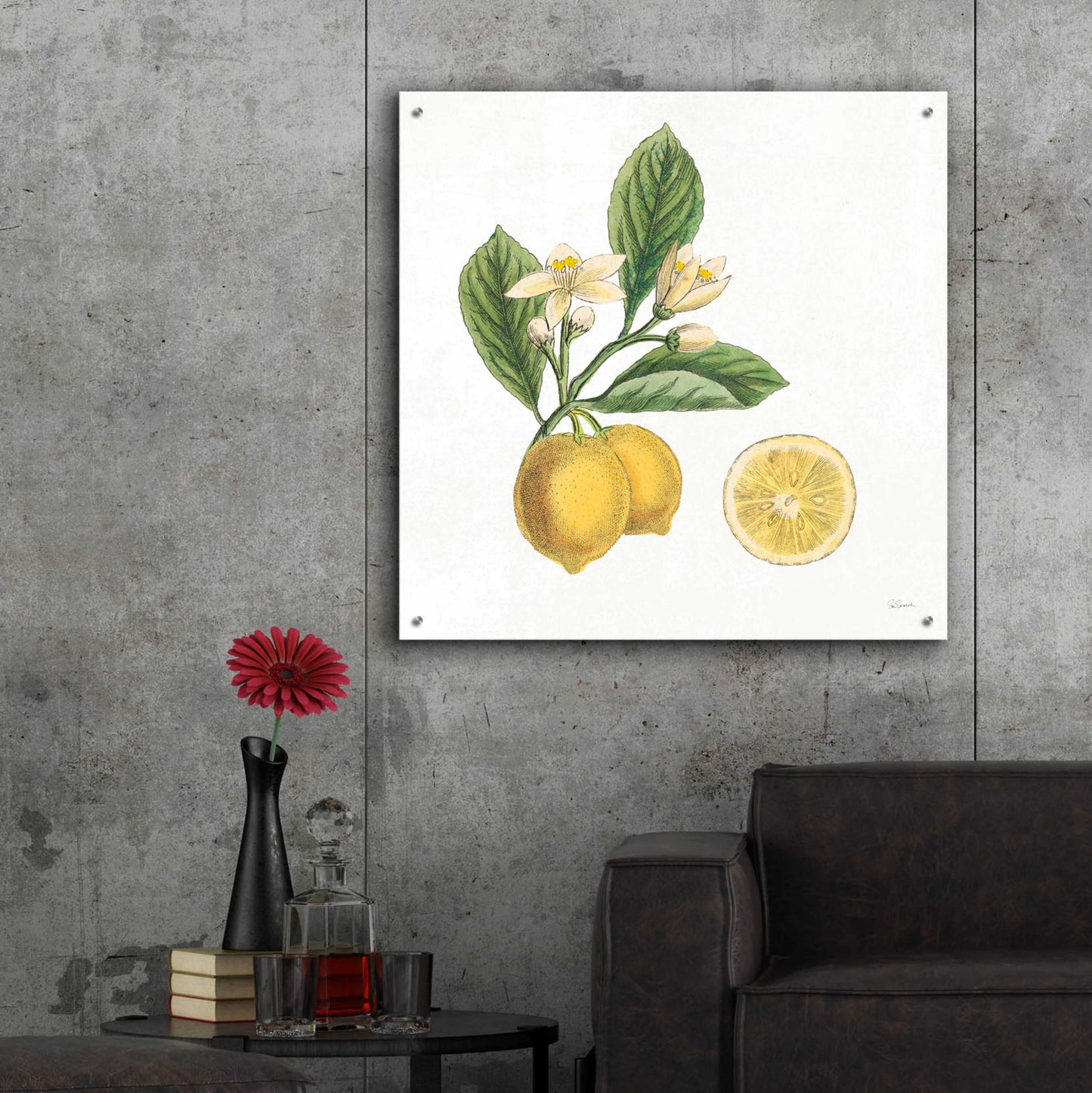 Epic Art 'Classic Citrus I' by Sue Schlabach, Acrylic Glass Wall Art,36x36