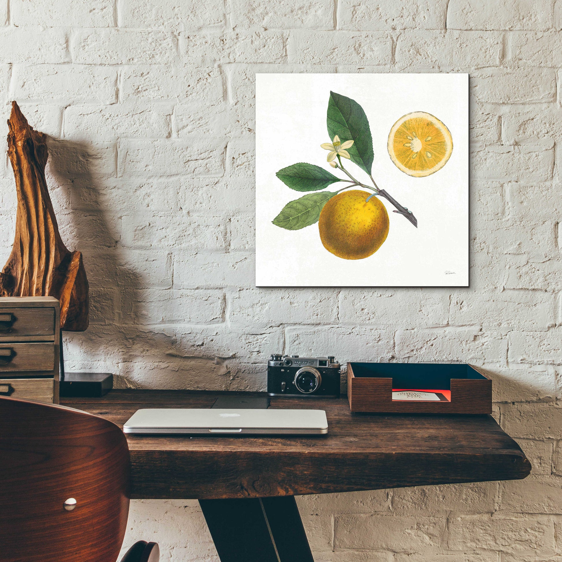 Epic Art 'Classic Citrus II' by Sue Schlabach, Acrylic Glass Wall Art,12x12