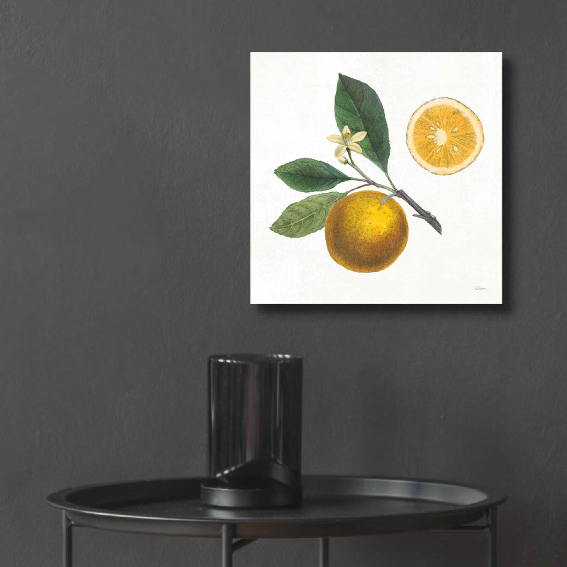 Epic Art 'Classic Citrus II' by Sue Schlabach, Acrylic Glass Wall Art,12x12