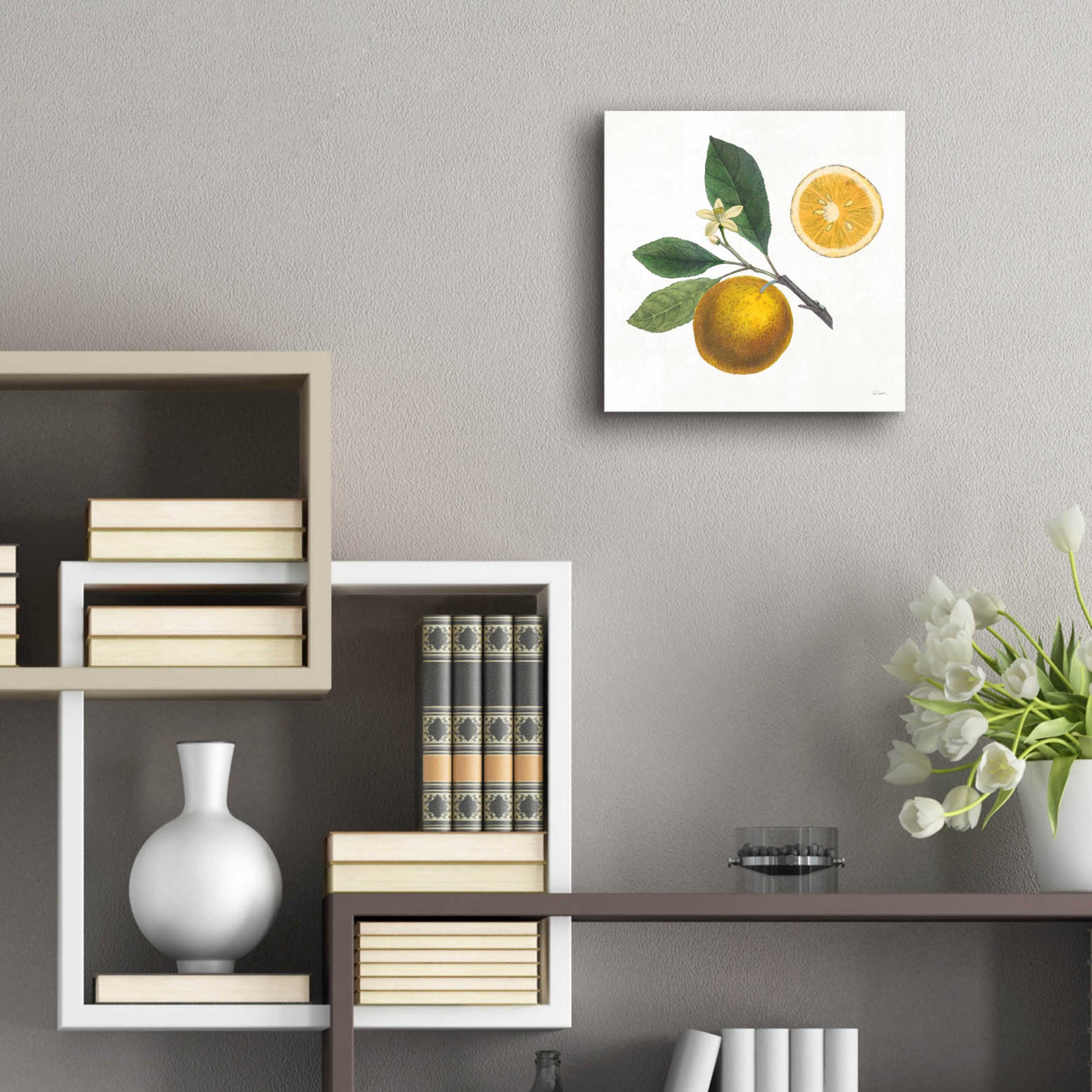 Epic Art 'Classic Citrus II' by Sue Schlabach, Acrylic Glass Wall Art,12x12