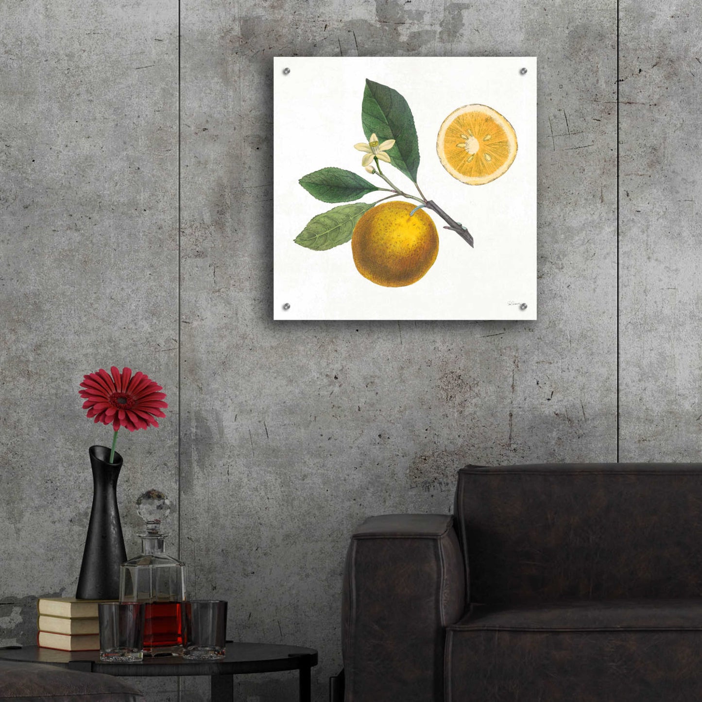 Epic Art 'Classic Citrus II' by Sue Schlabach, Acrylic Glass Wall Art,24x24