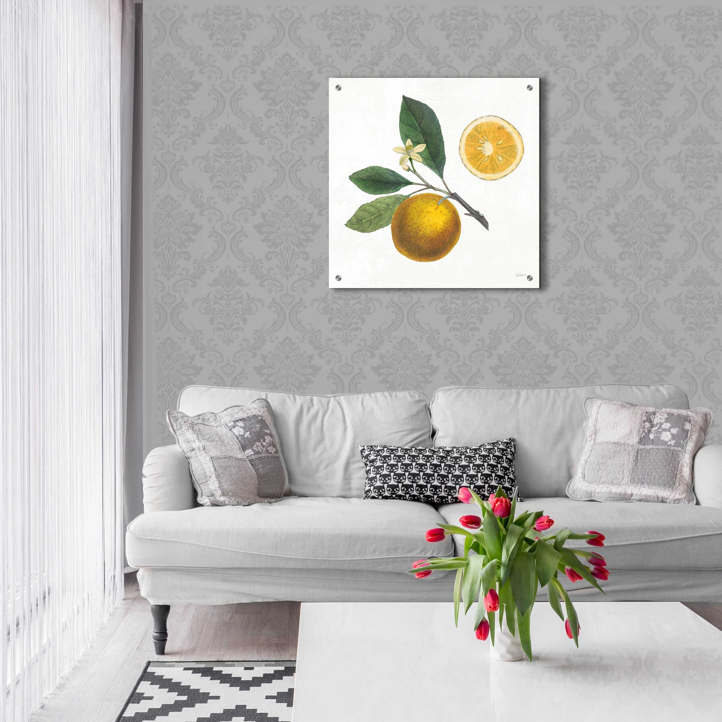 Epic Art 'Classic Citrus II' by Sue Schlabach, Acrylic Glass Wall Art,24x24