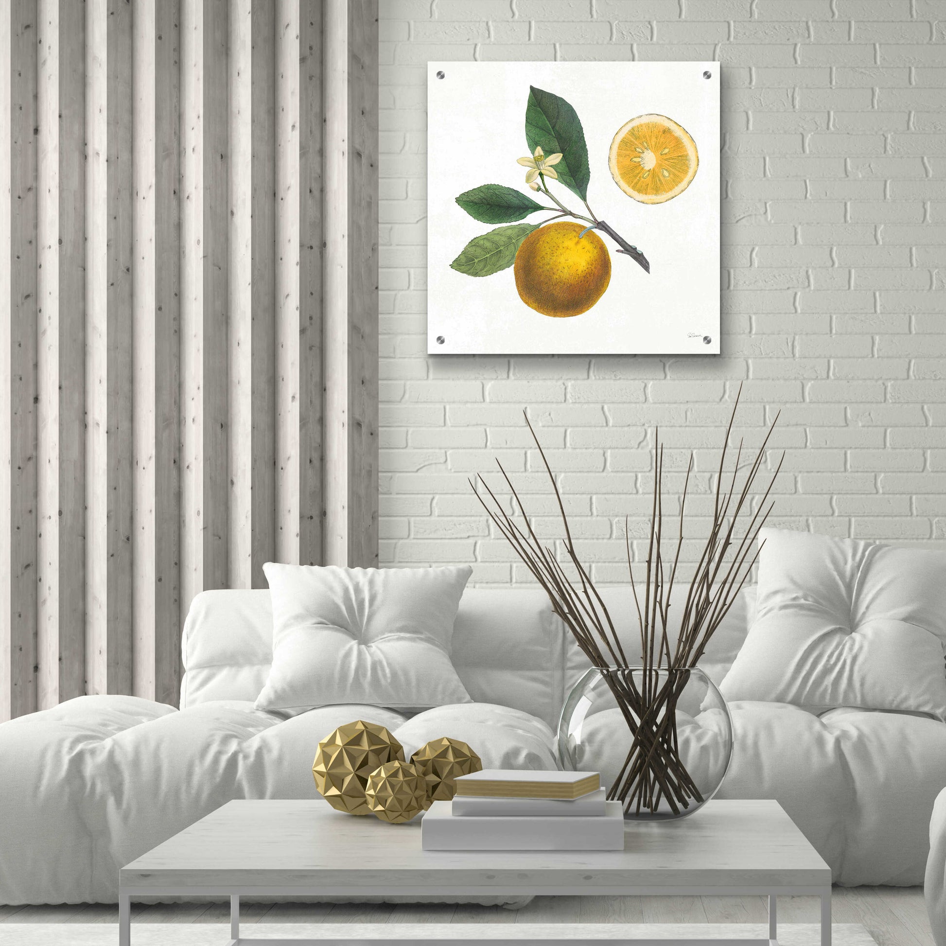 Epic Art 'Classic Citrus II' by Sue Schlabach, Acrylic Glass Wall Art,24x24