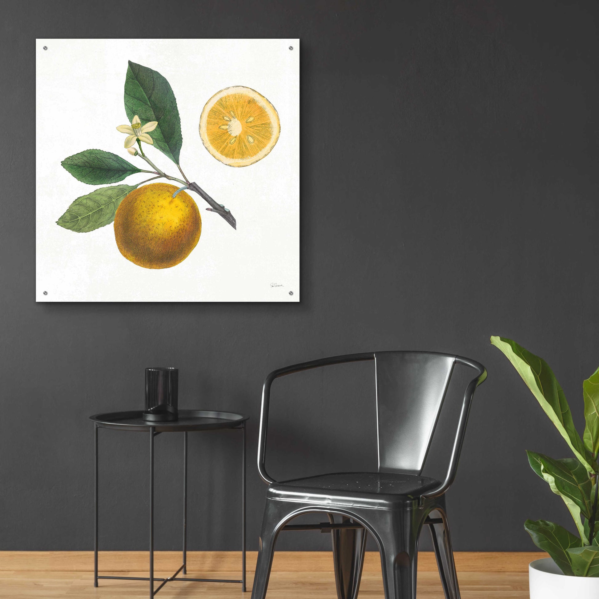 Epic Art 'Classic Citrus II' by Sue Schlabach, Acrylic Glass Wall Art,36x36