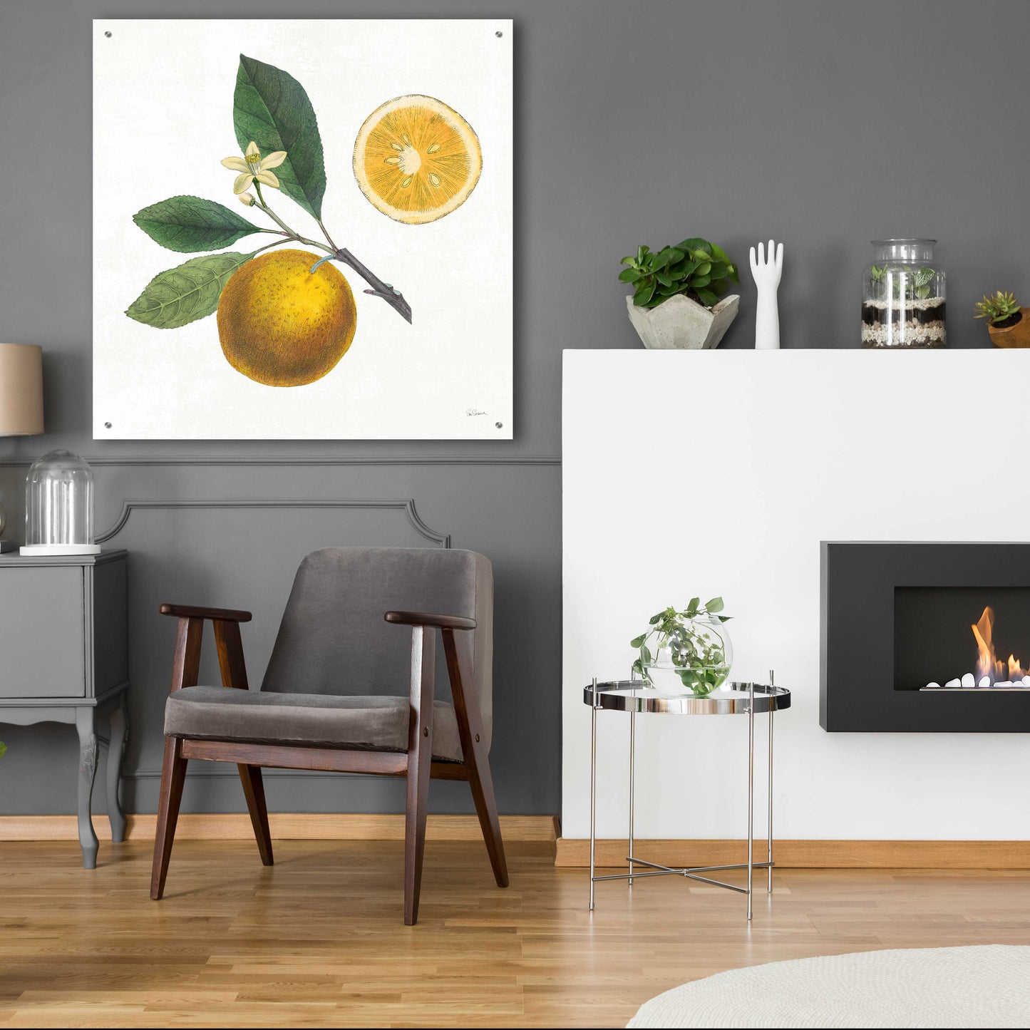 Epic Art 'Classic Citrus II' by Sue Schlabach, Acrylic Glass Wall Art,36x36