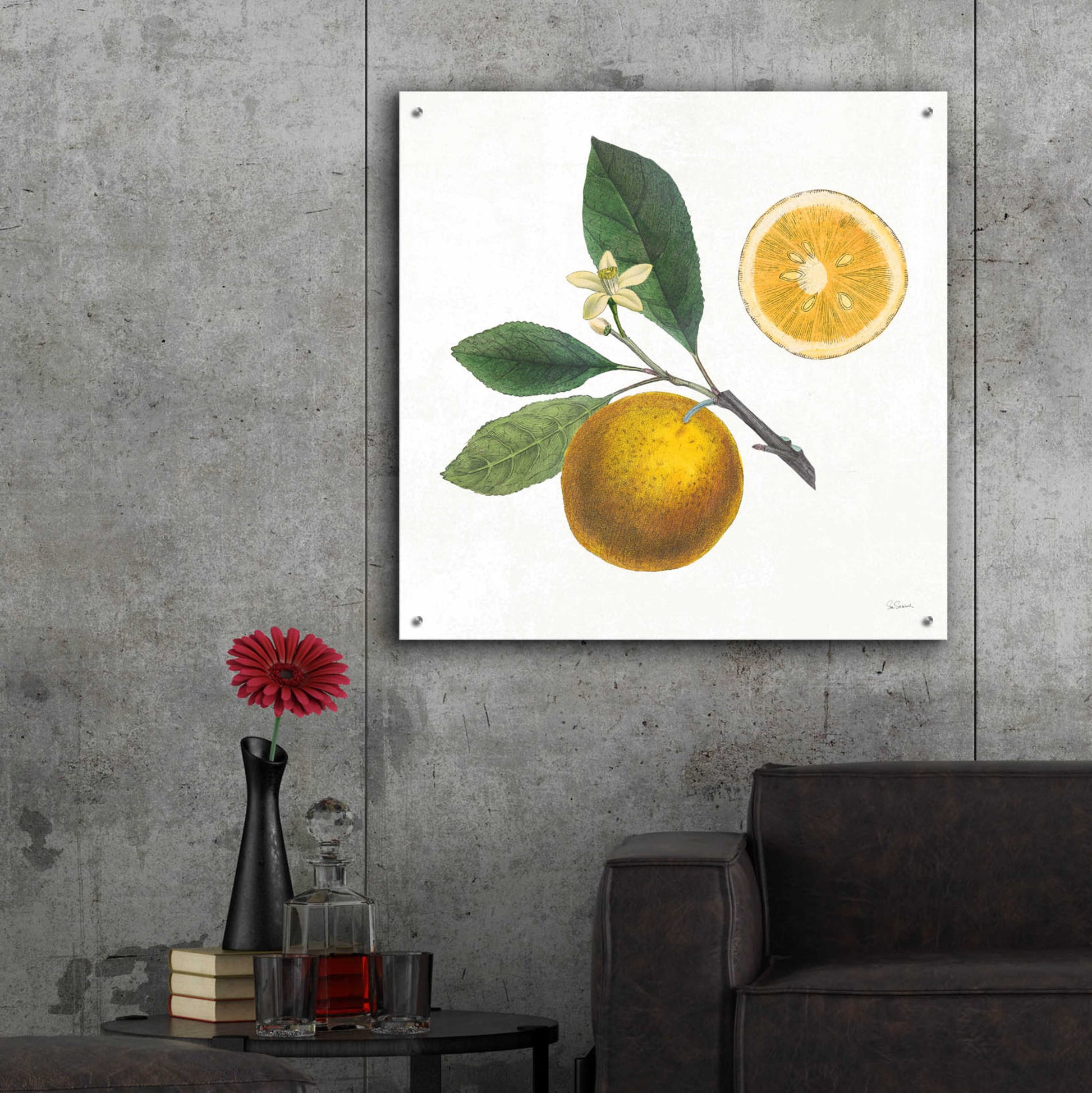 Epic Art 'Classic Citrus II' by Sue Schlabach, Acrylic Glass Wall Art,36x36