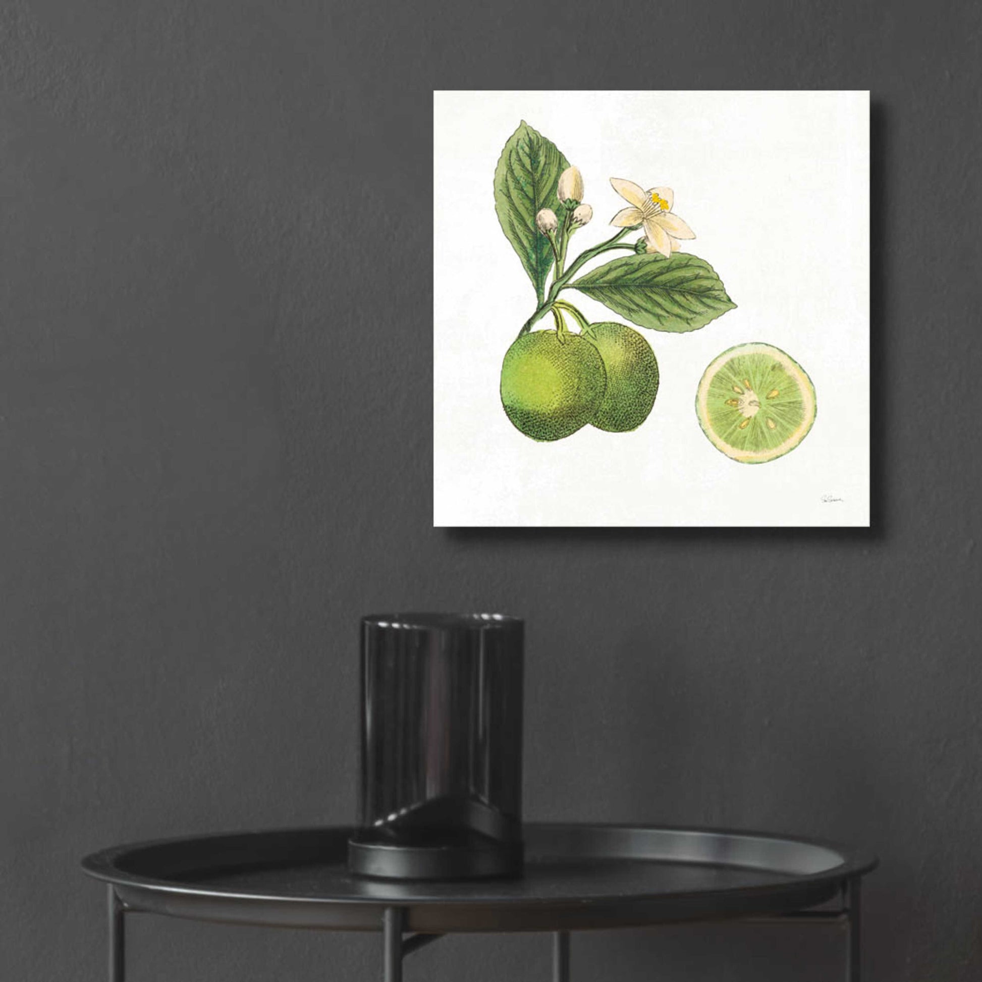 Epic Art 'Classic Citrus III' by Sue Schlabach, Acrylic Glass Wall Art,12x12