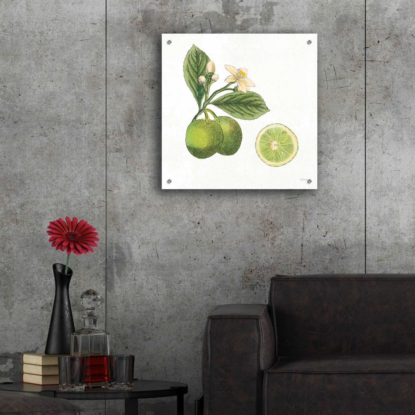 Epic Art 'Classic Citrus III' by Sue Schlabach, Acrylic Glass Wall Art,24x24