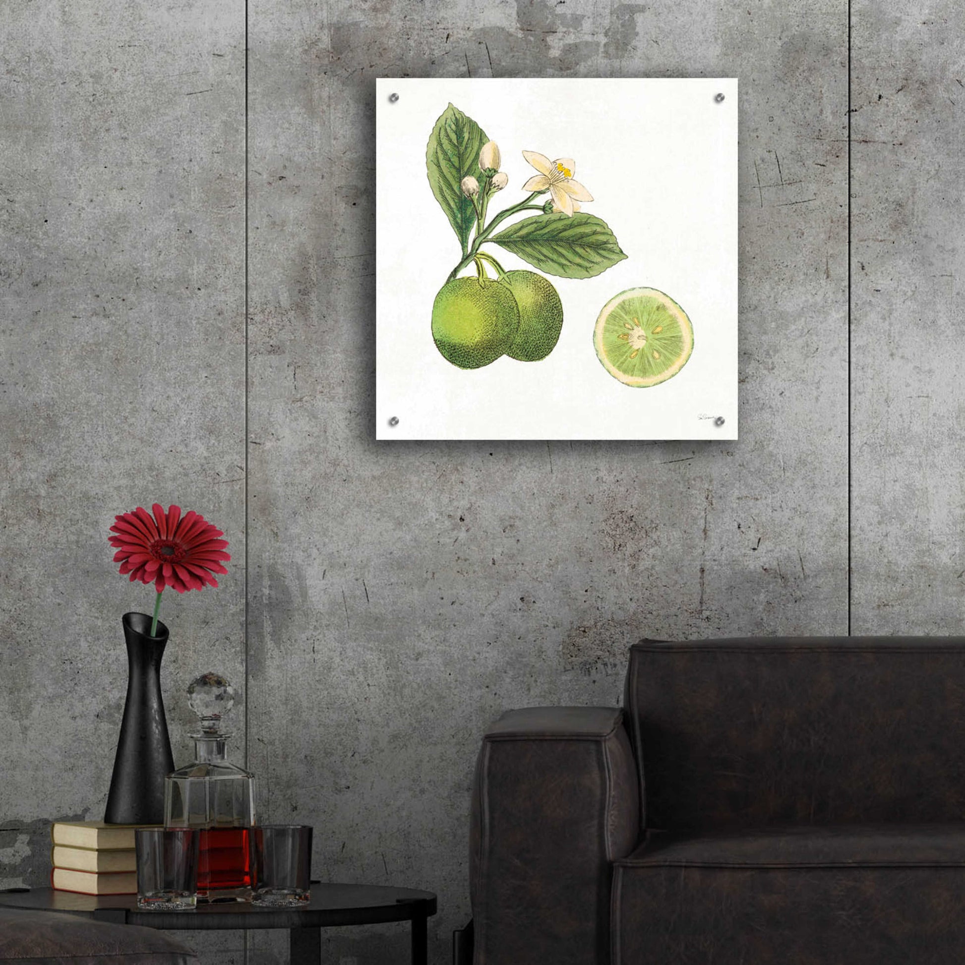 Epic Art 'Classic Citrus III' by Sue Schlabach, Acrylic Glass Wall Art,24x24