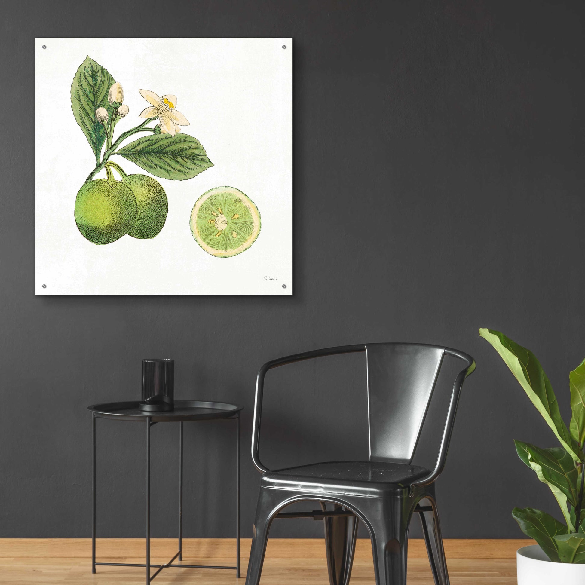 Epic Art 'Classic Citrus III' by Sue Schlabach, Acrylic Glass Wall Art,36x36