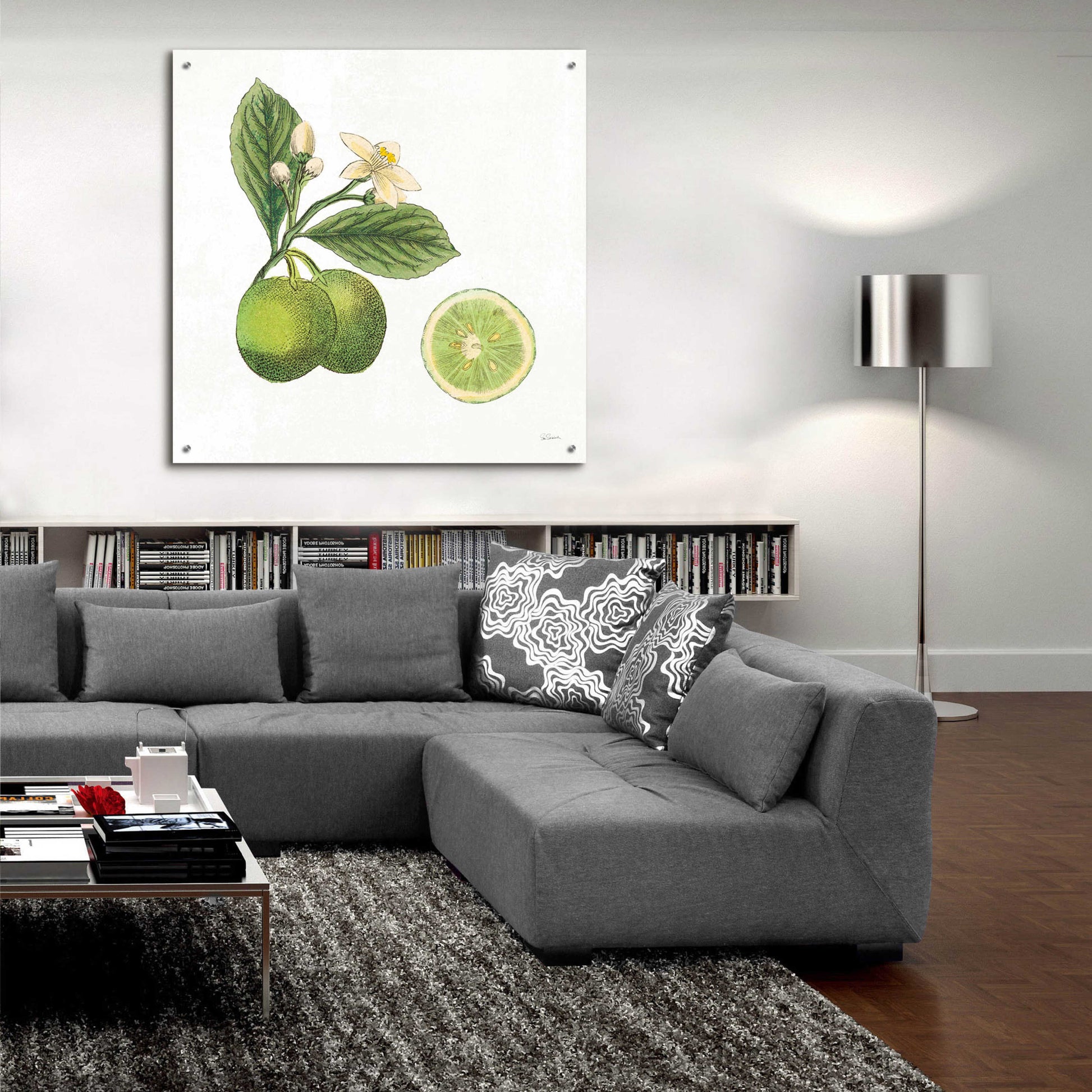 Epic Art 'Classic Citrus III' by Sue Schlabach, Acrylic Glass Wall Art,36x36