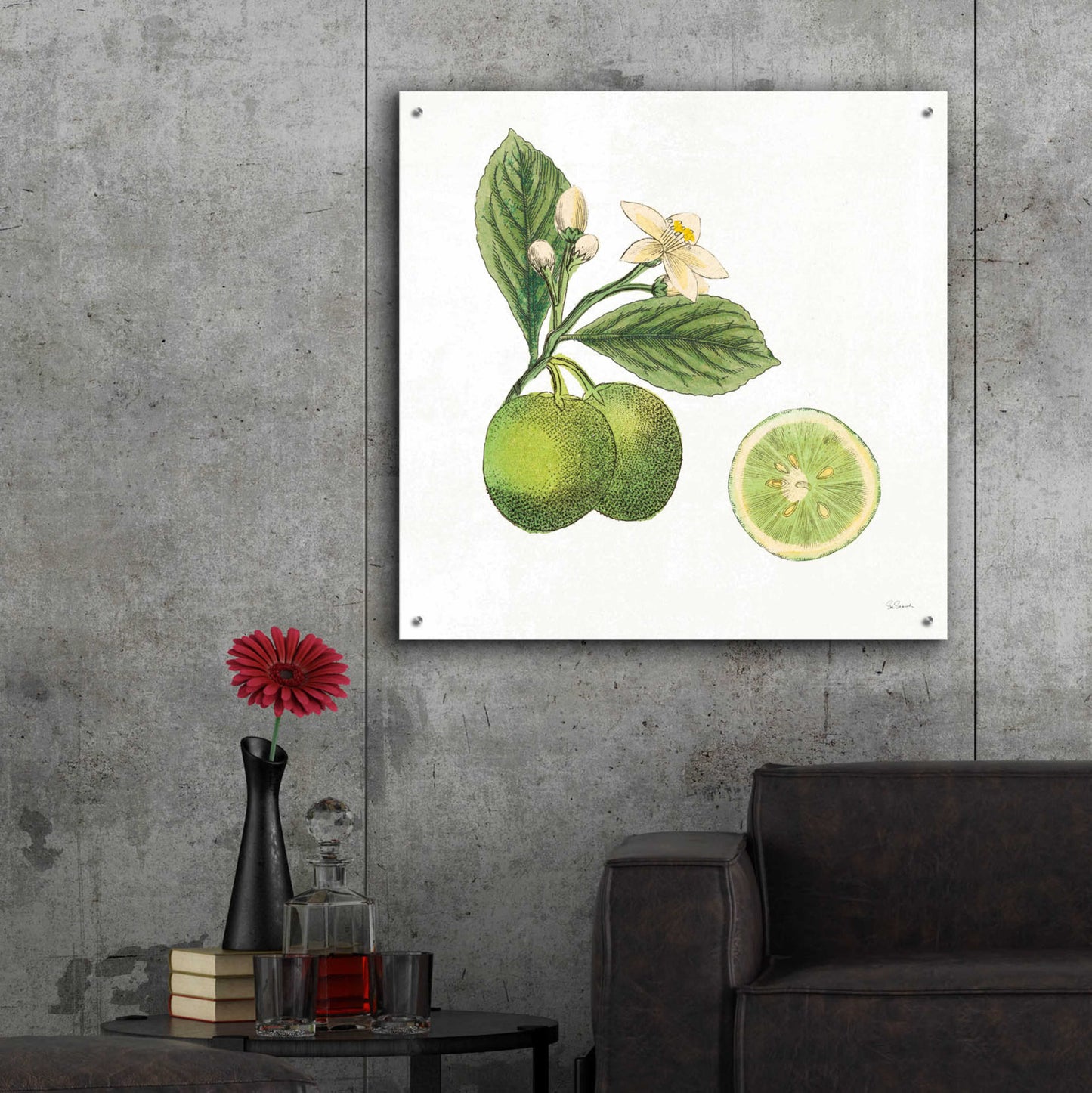 Epic Art 'Classic Citrus III' by Sue Schlabach, Acrylic Glass Wall Art,36x36