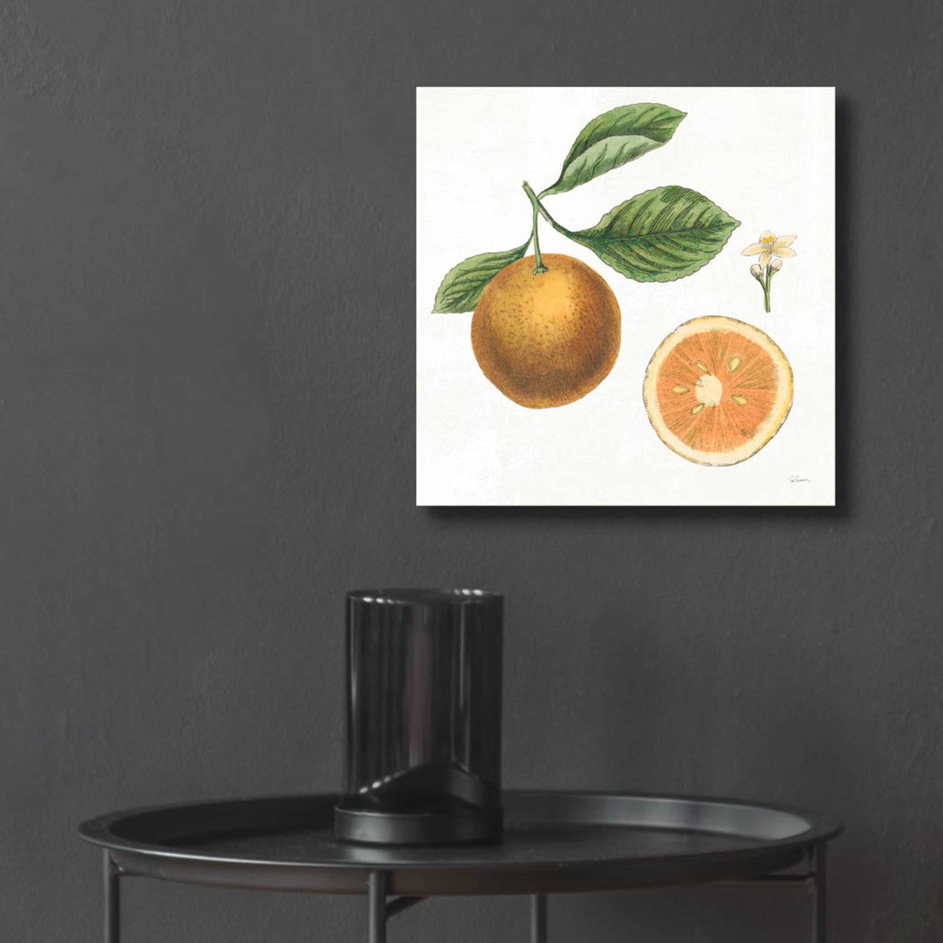 Epic Art 'Classic Citrus IV' by Sue Schlabach, Acrylic Glass Wall Art,12x12