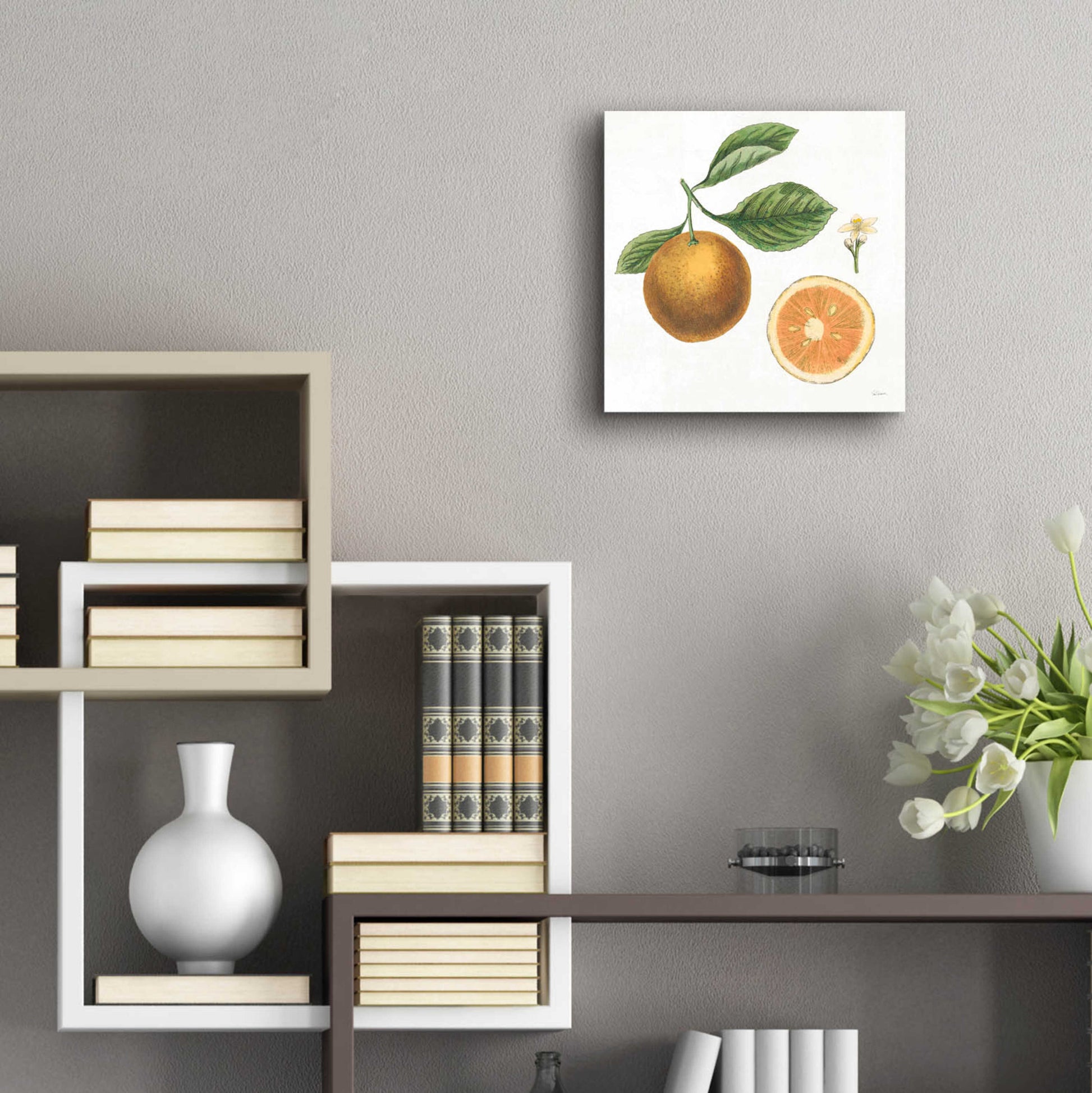 Epic Art 'Classic Citrus IV' by Sue Schlabach, Acrylic Glass Wall Art,12x12